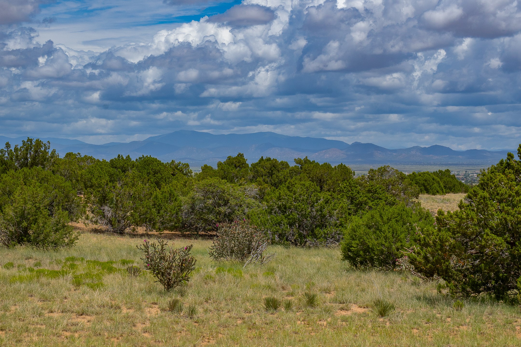 23 Black Canyon
