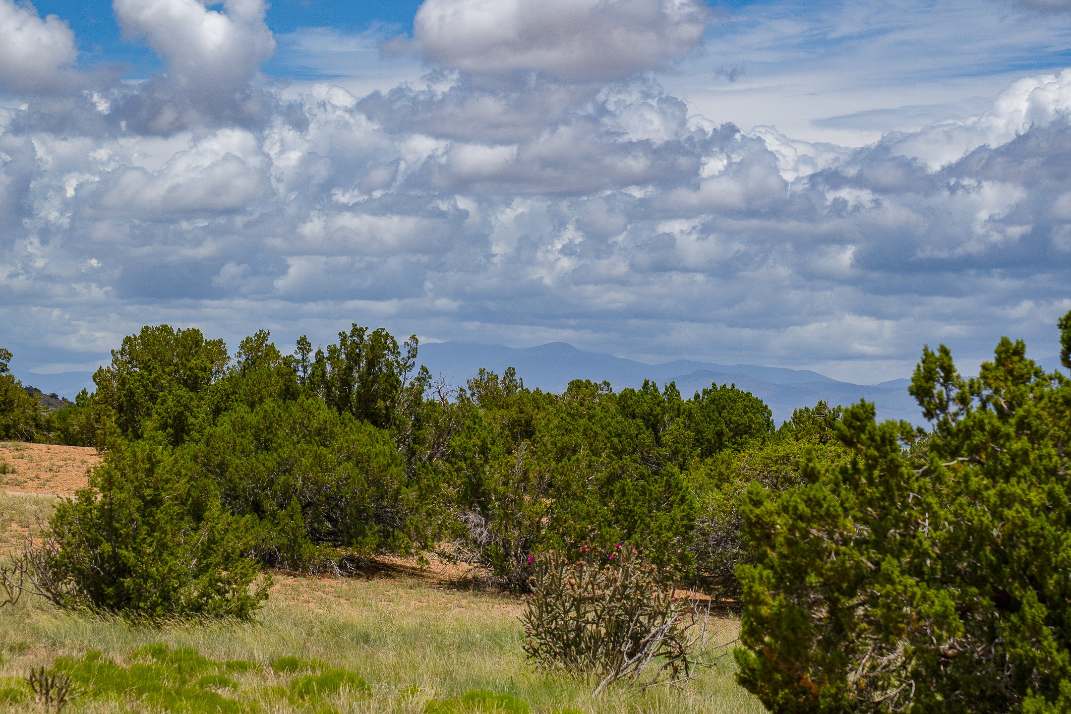 23 Black Canyon