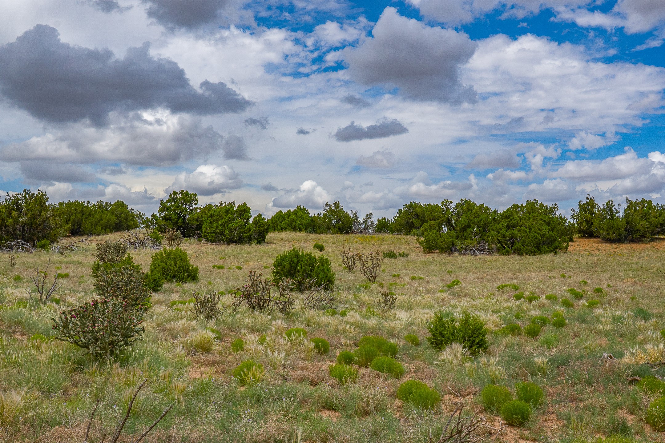23 Black Canyon