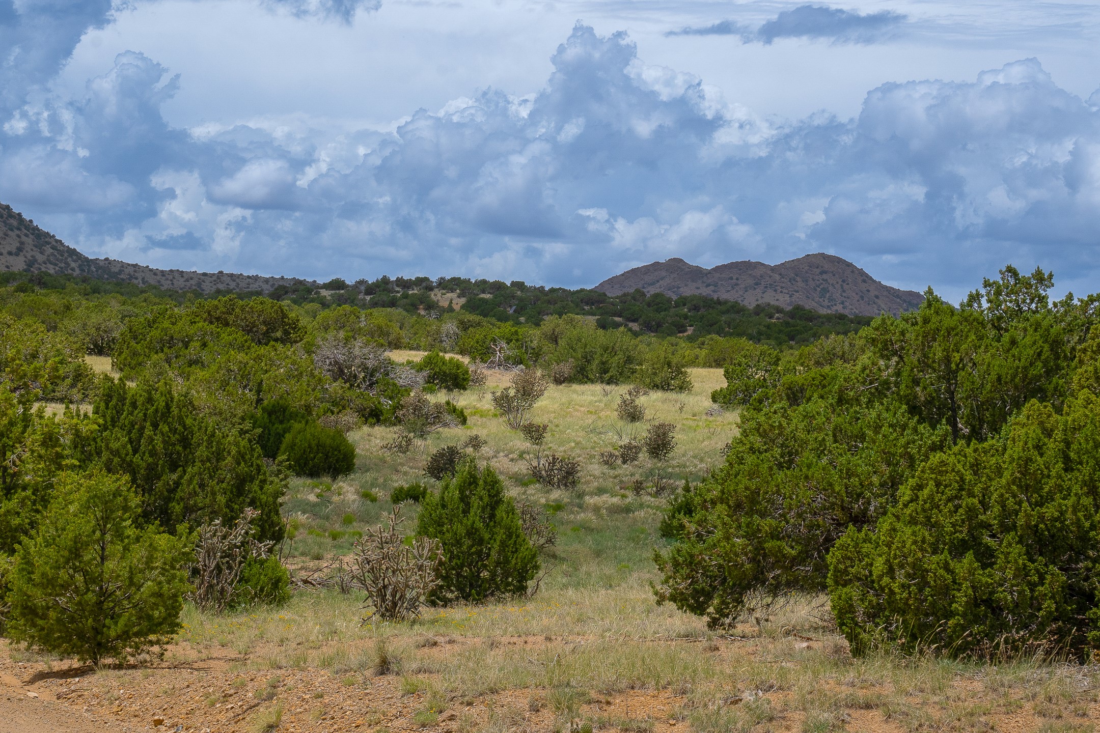 23 Black Canyon