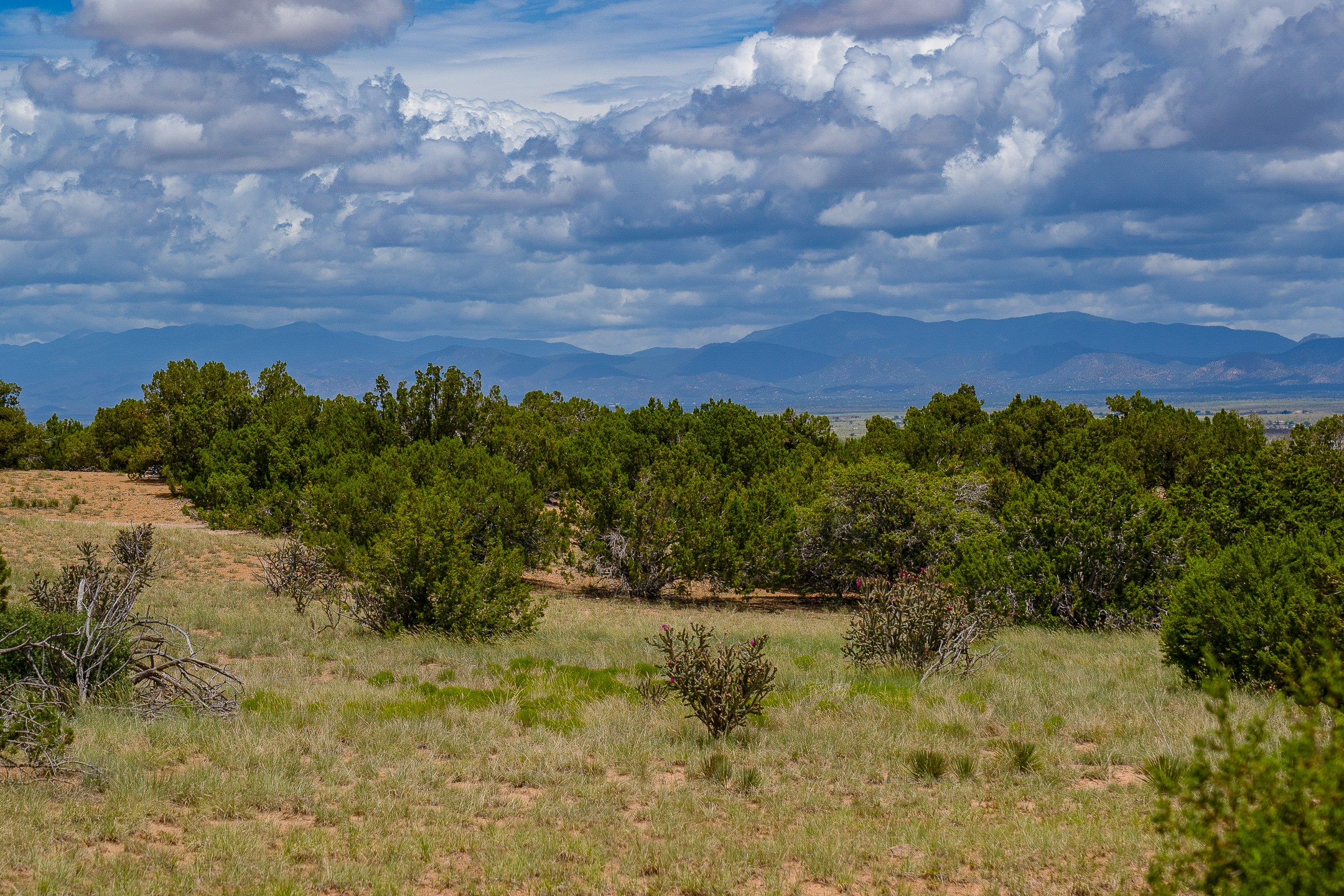 23 Black Canyon
