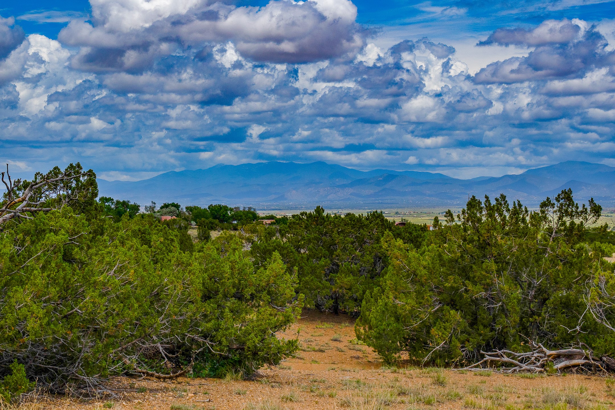 23 Black Canyon