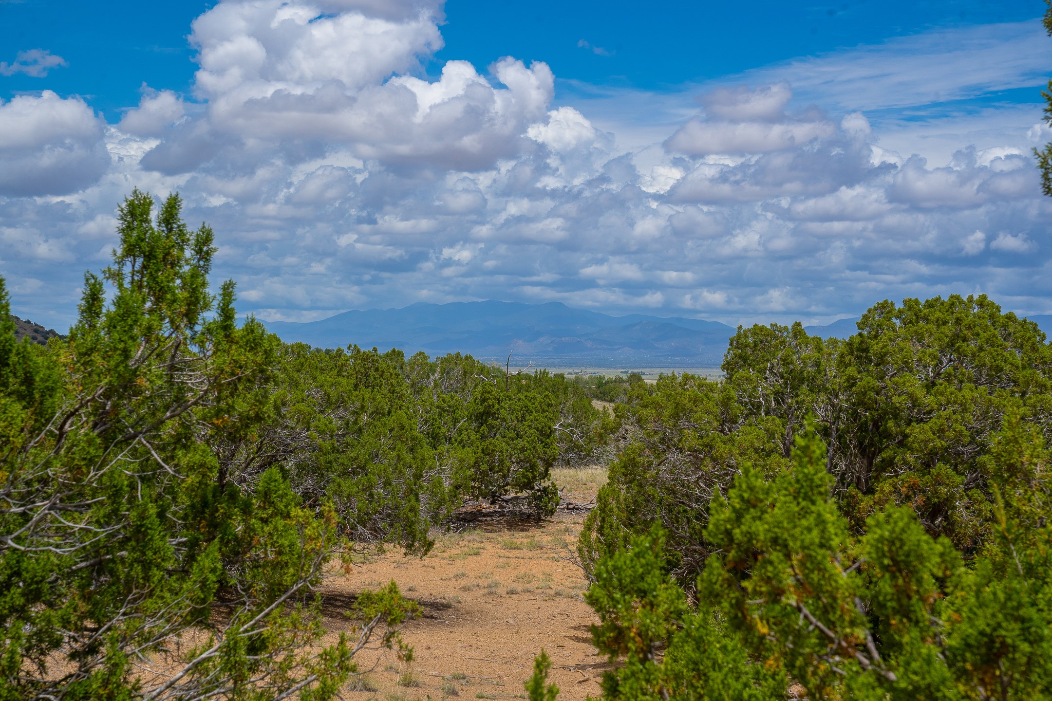 23 Black Canyon