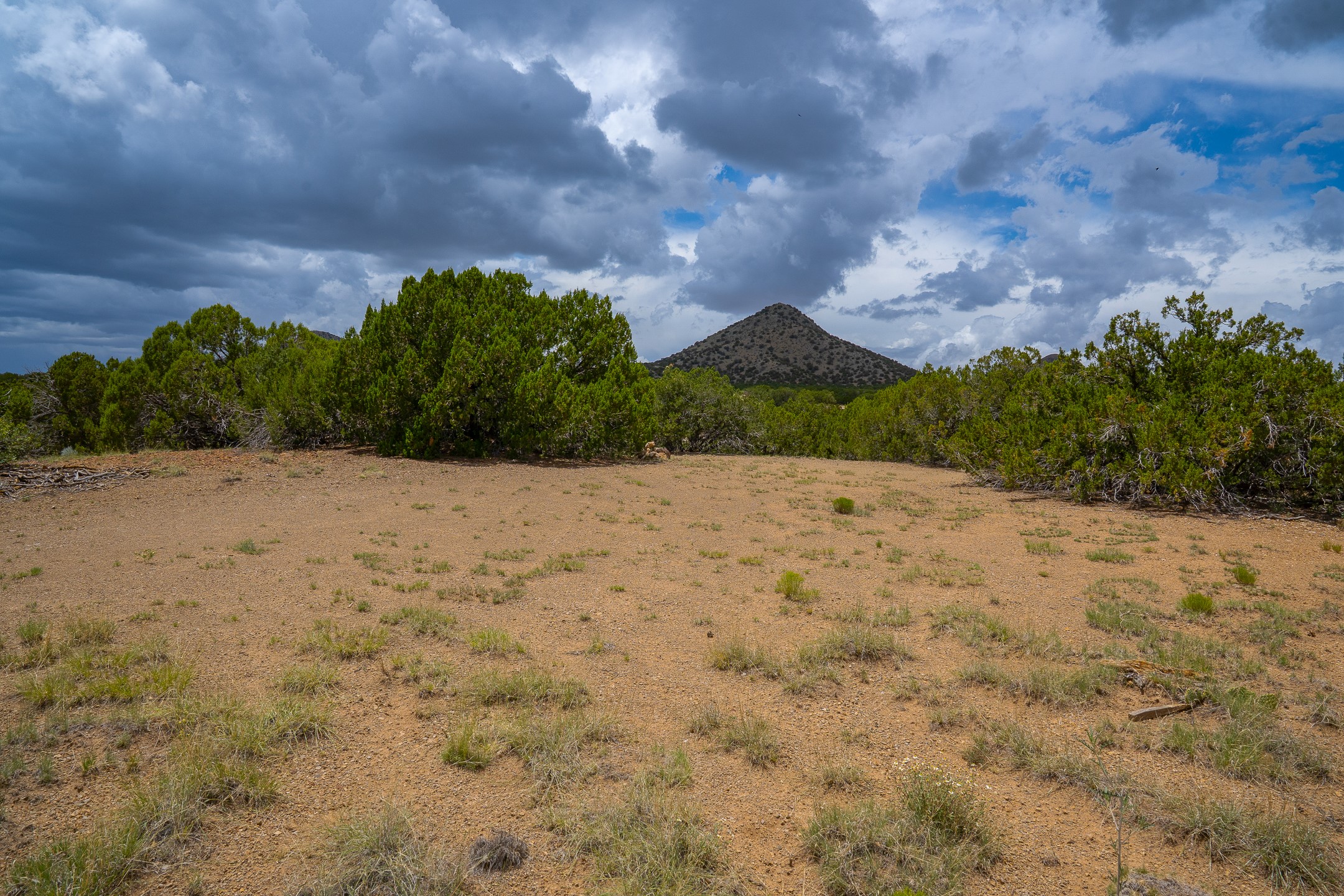 23 Black Canyon