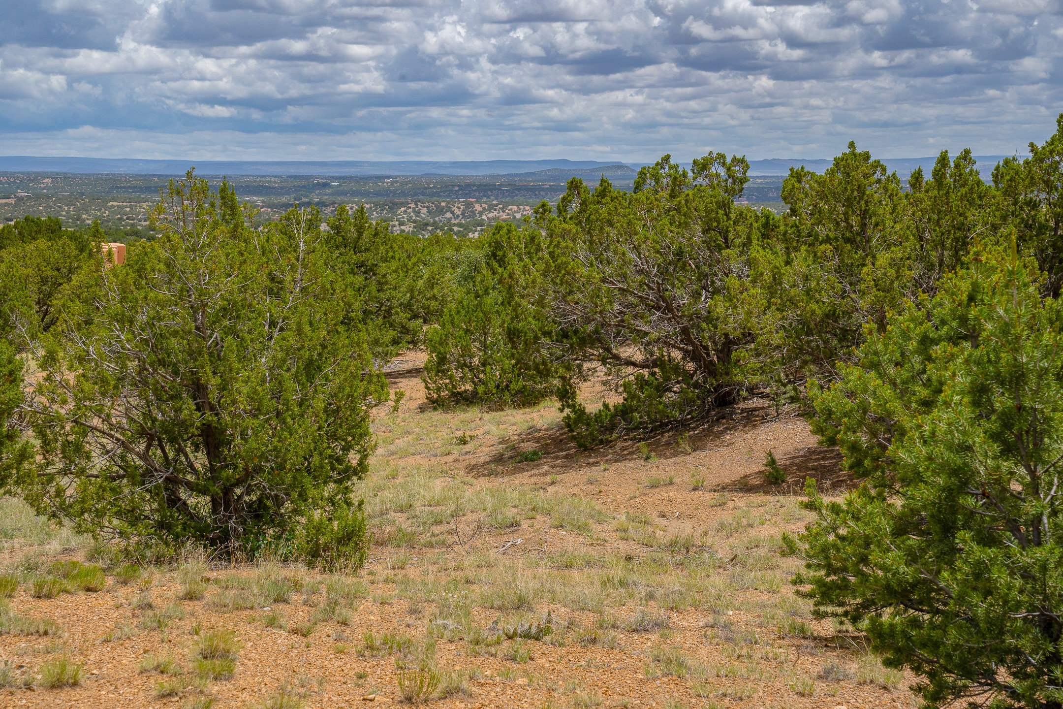 23 Black Canyon