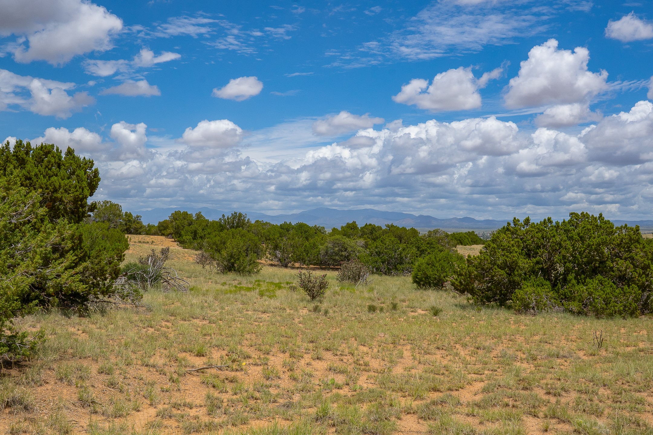 23 Black Canyon