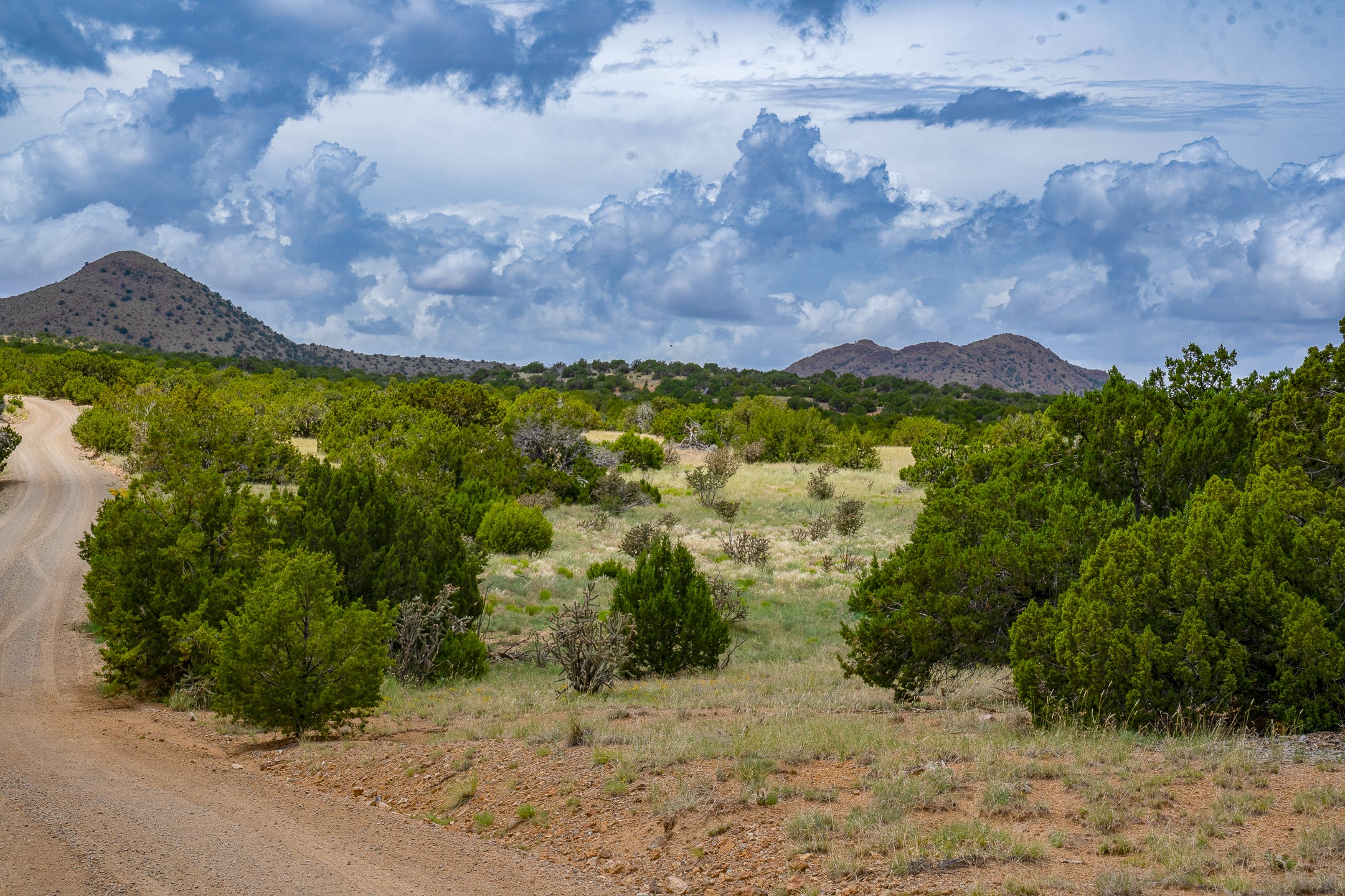 23 Black Canyon