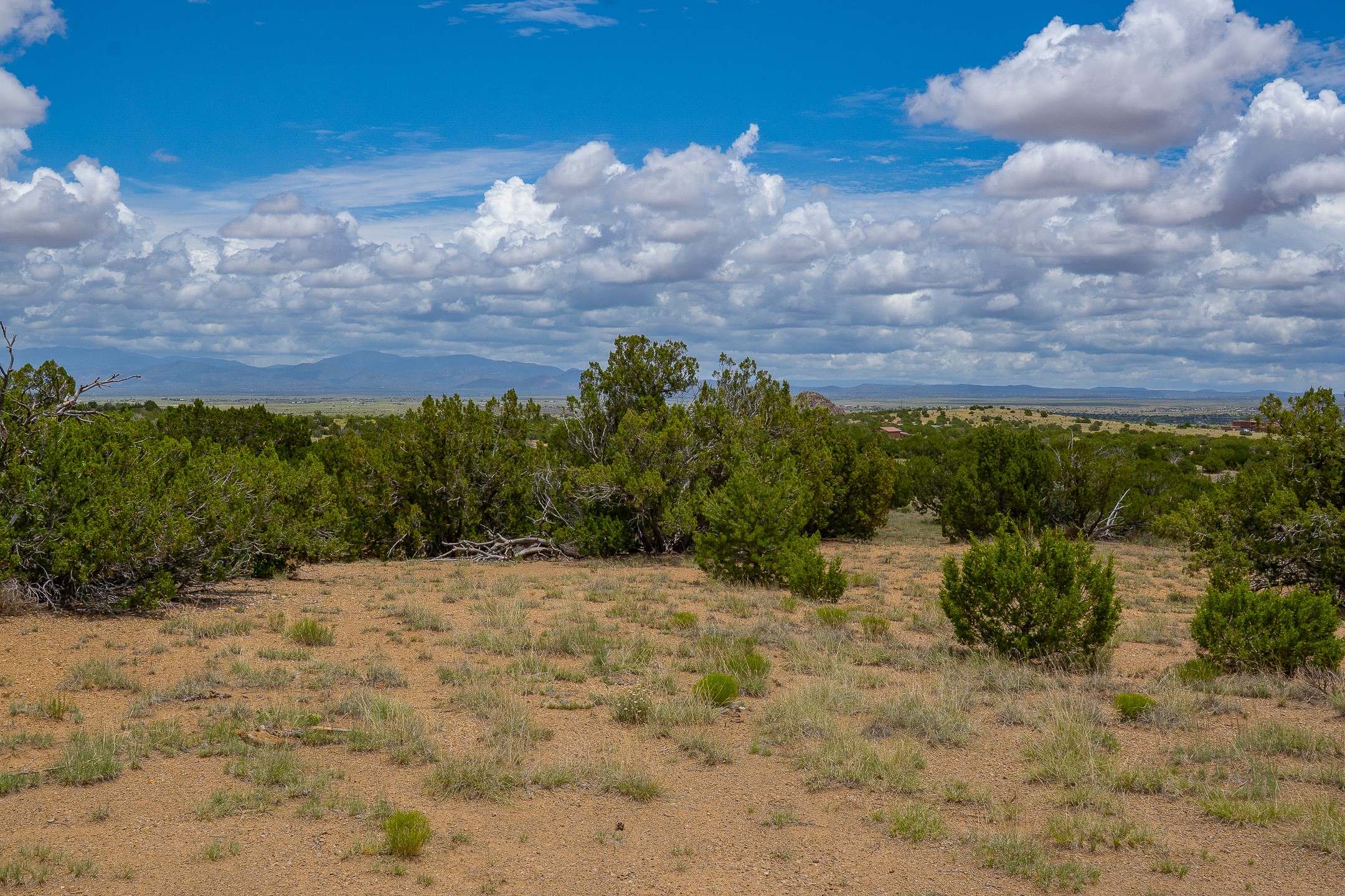 23 Black Canyon