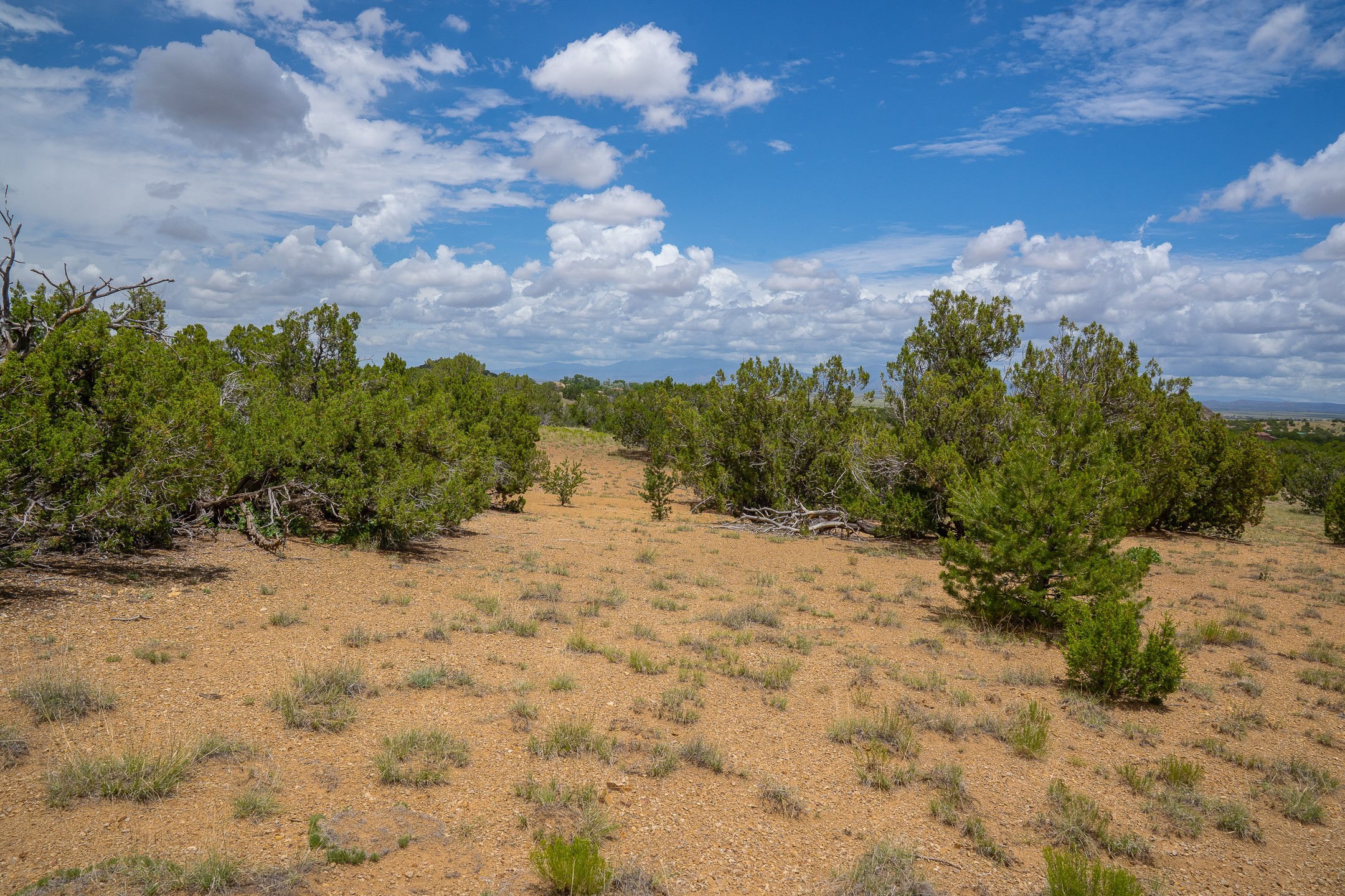 23 Black Canyon