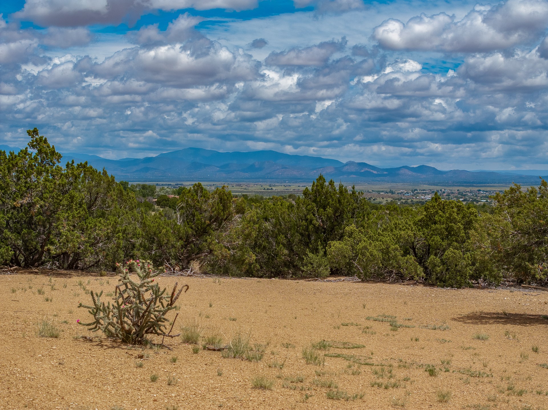 23 Black Canyon
