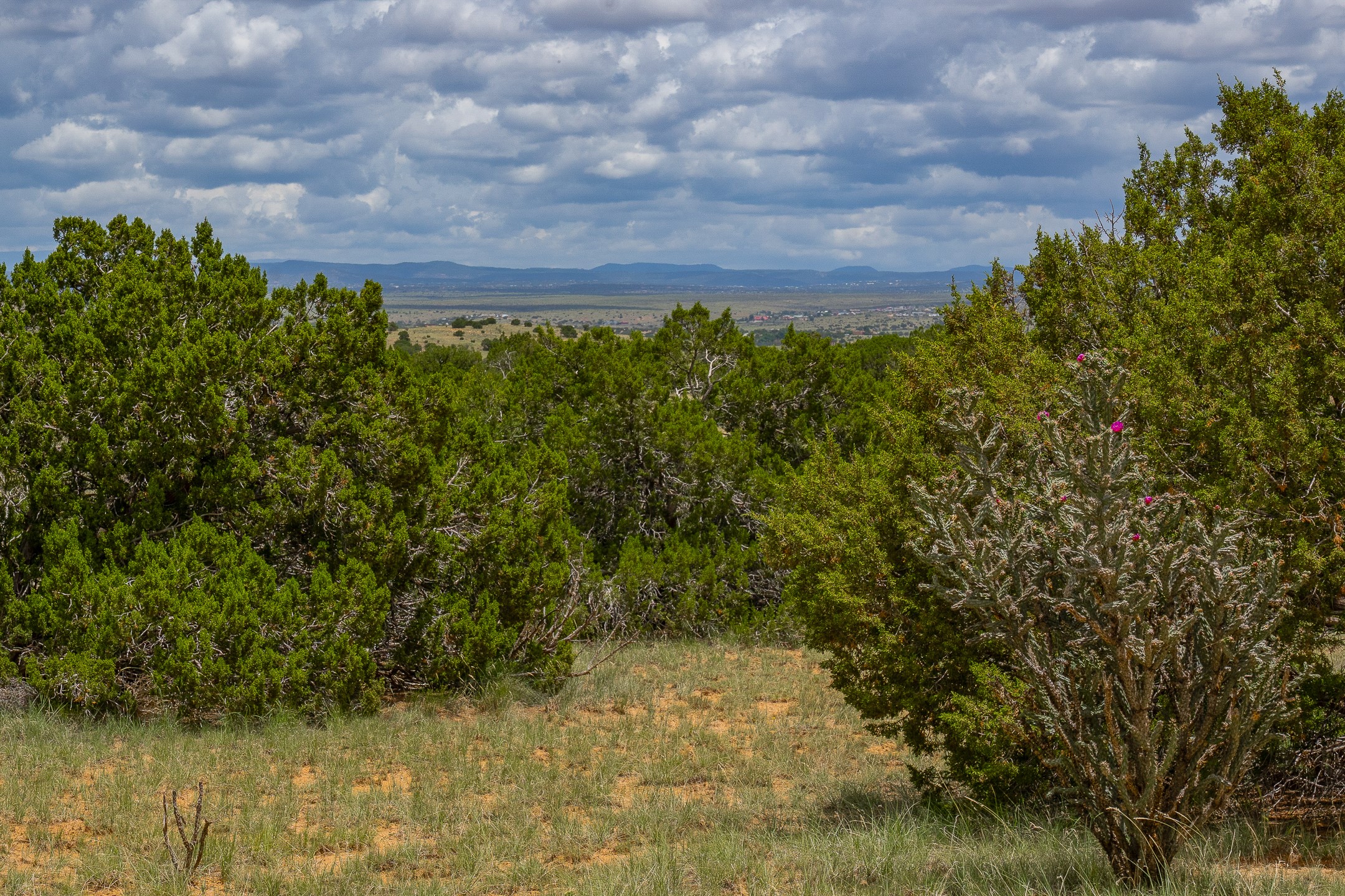 23 Black Canyon