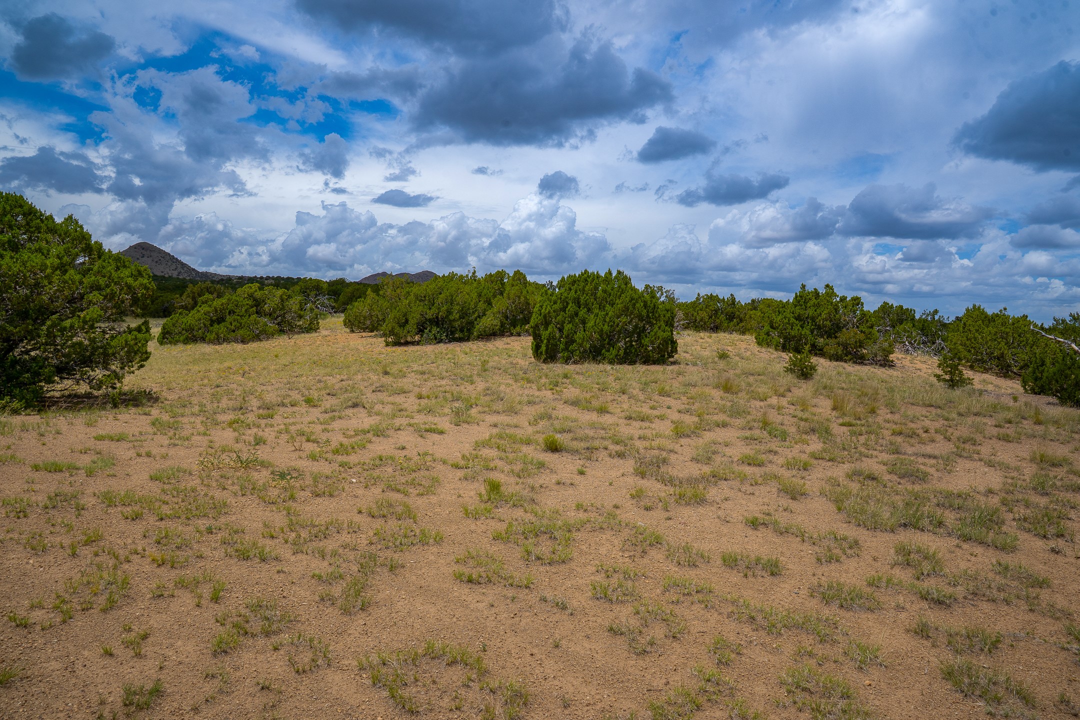 23 Black Canyon