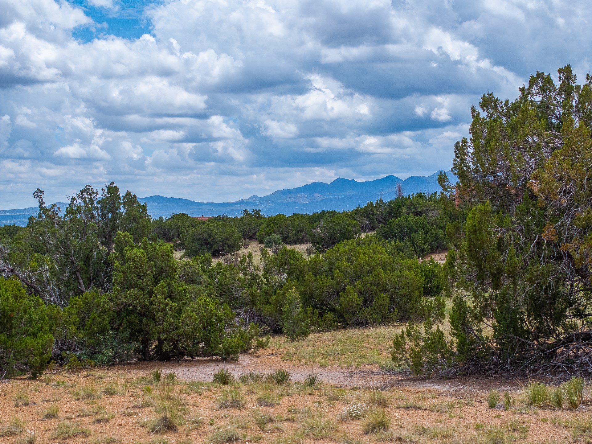 23 Black Canyon