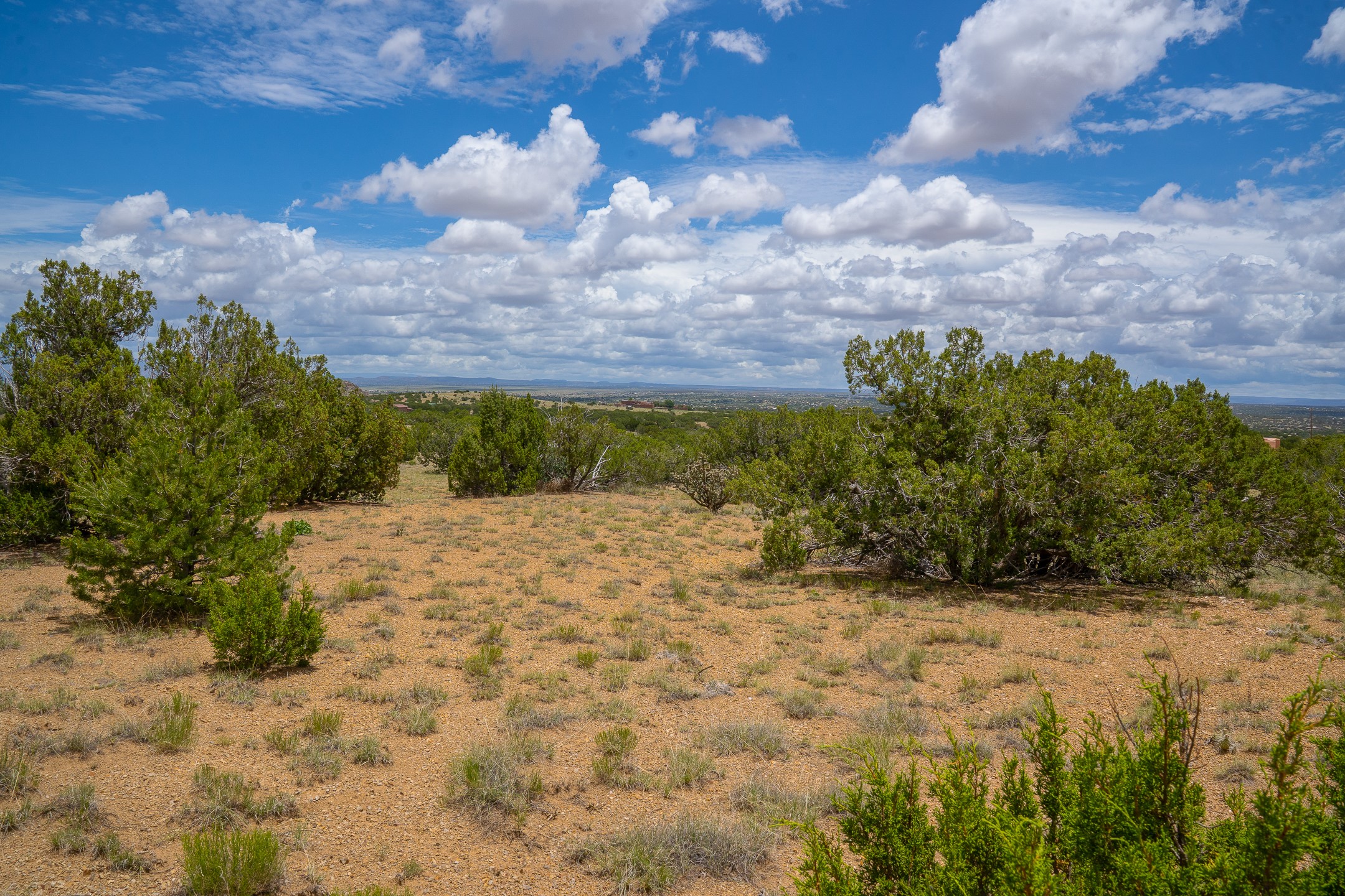 23 Black Canyon