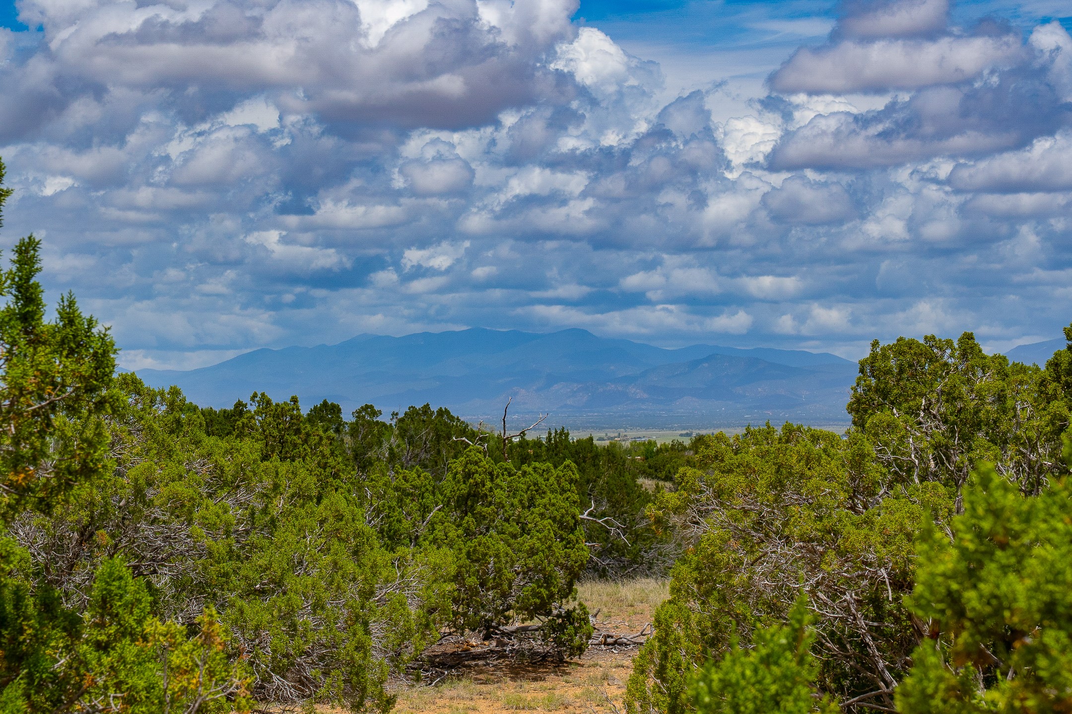 23 Black Canyon