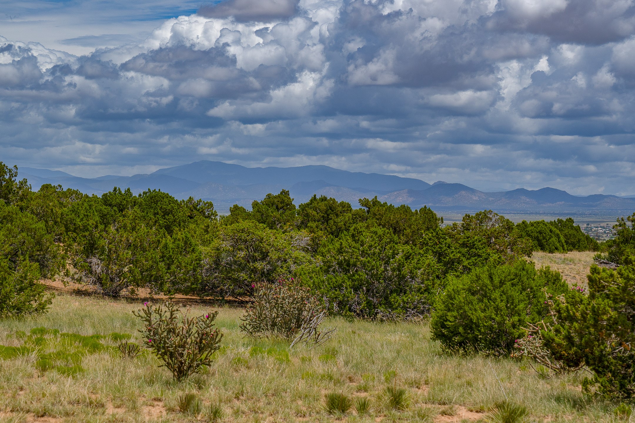 23 Black Canyon