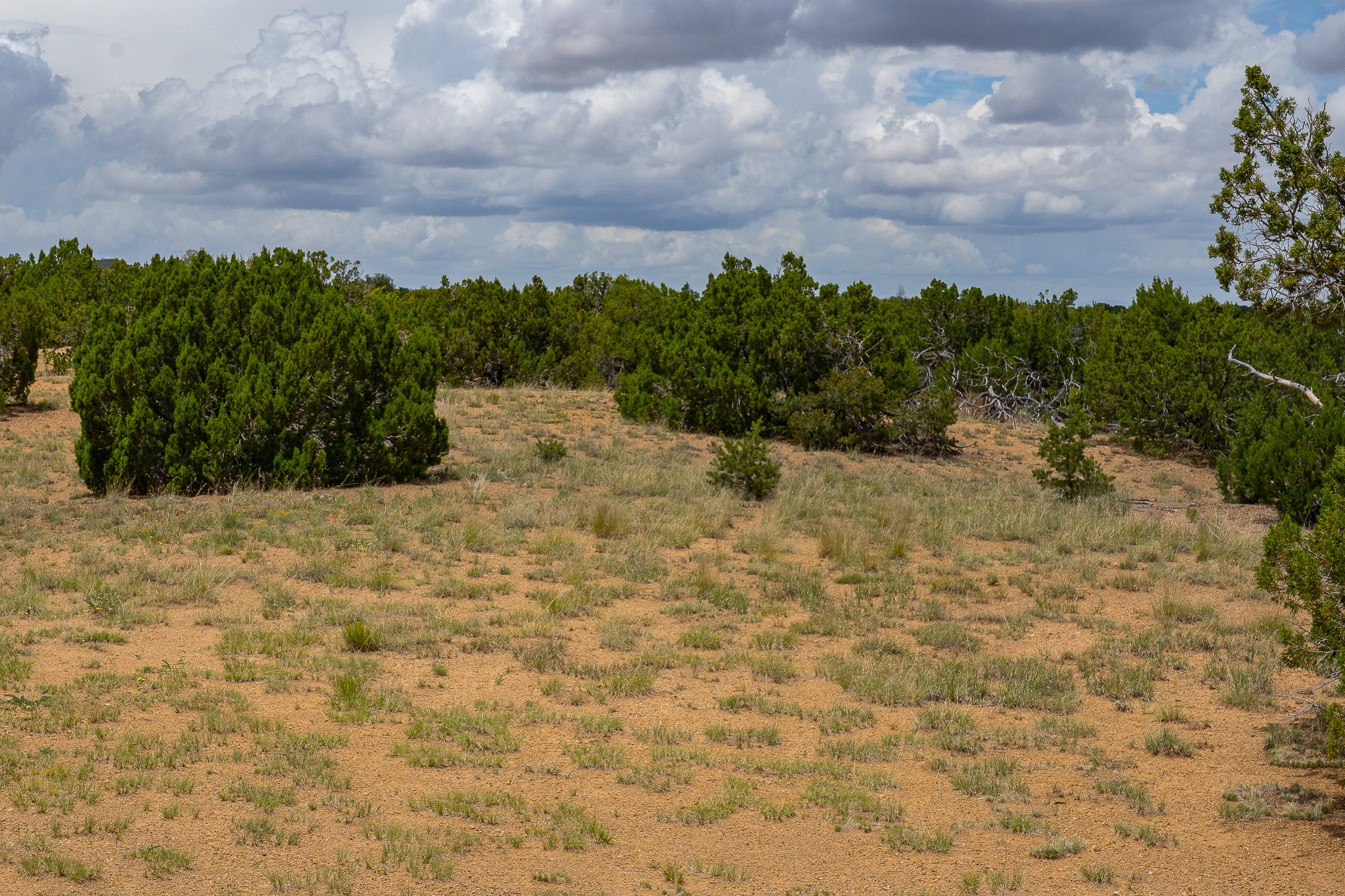 23 Black Canyon
