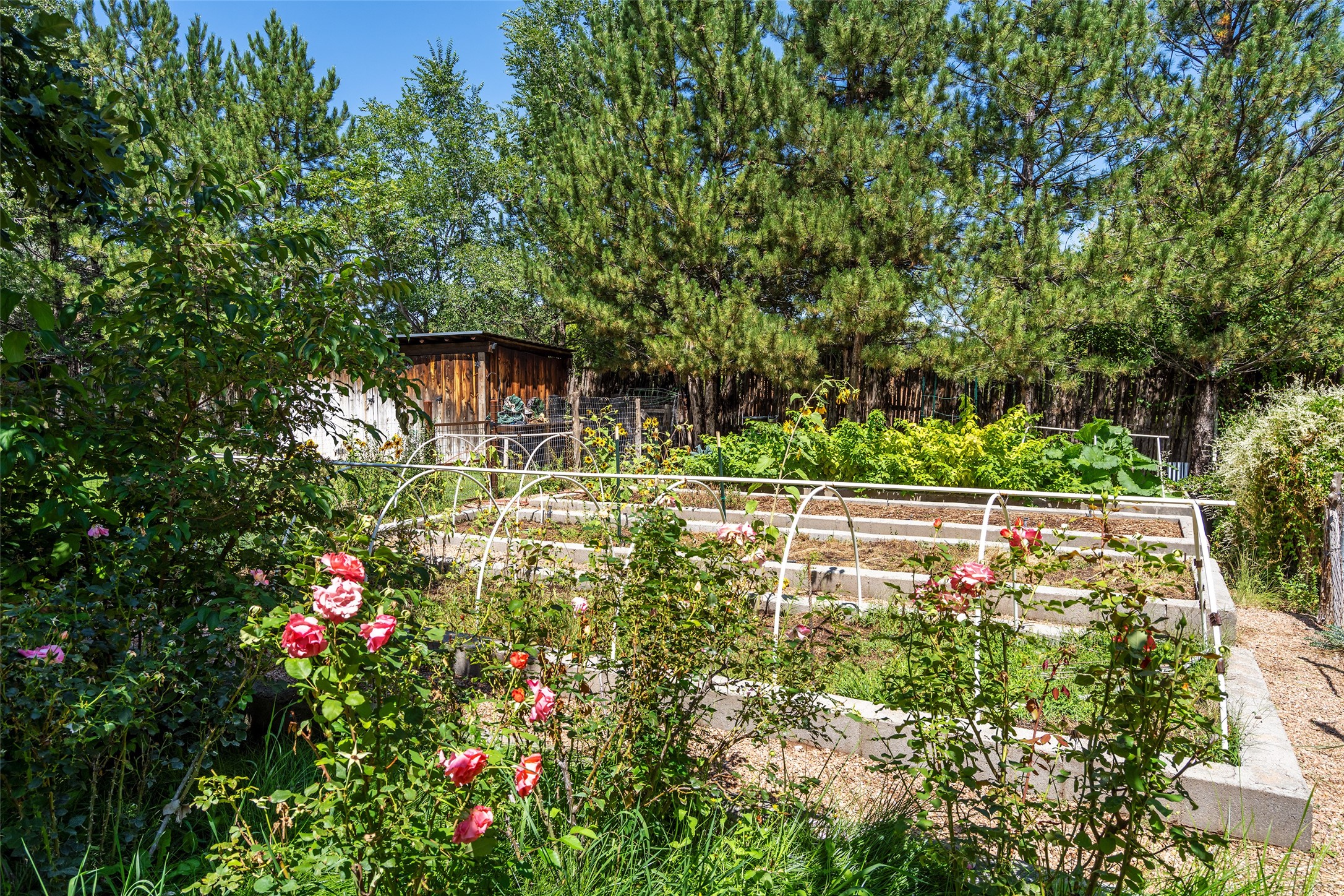 535 Camino Del Monte Sol