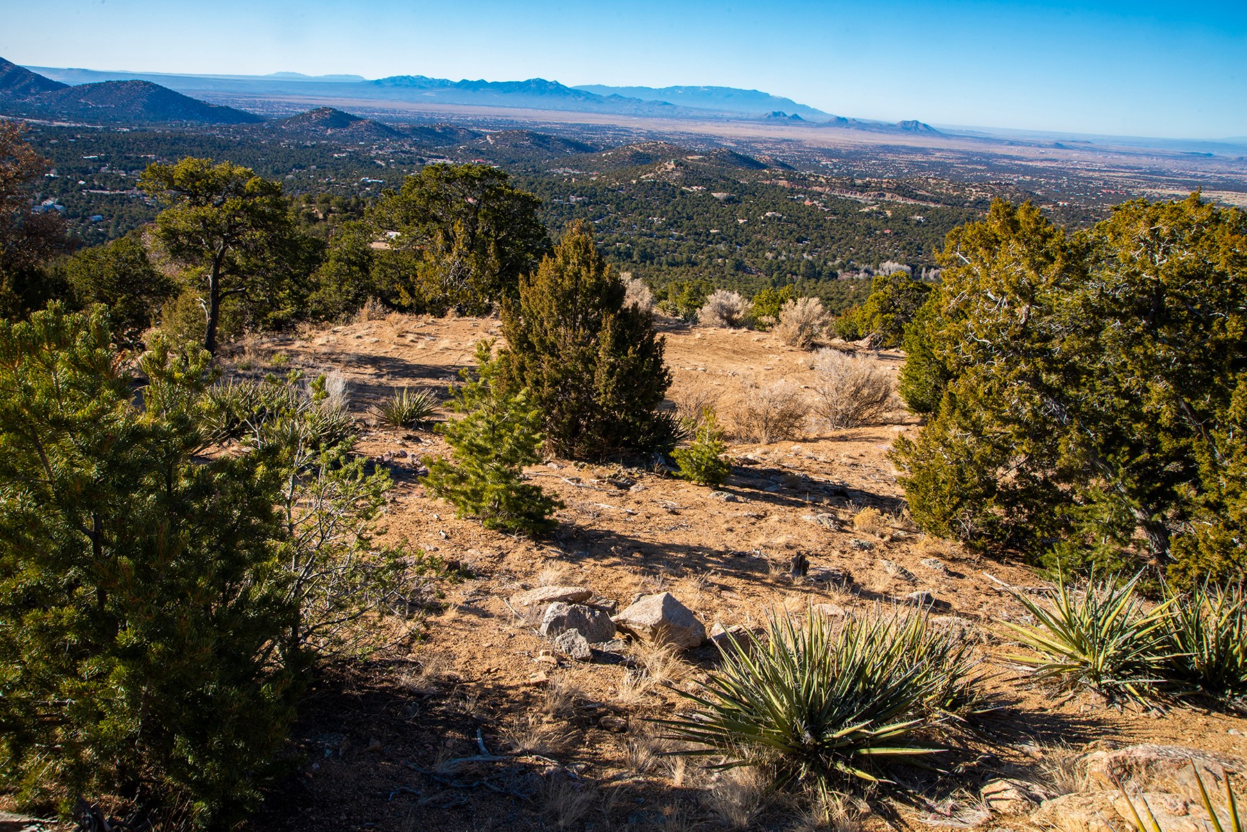 109 Coyote Mountain