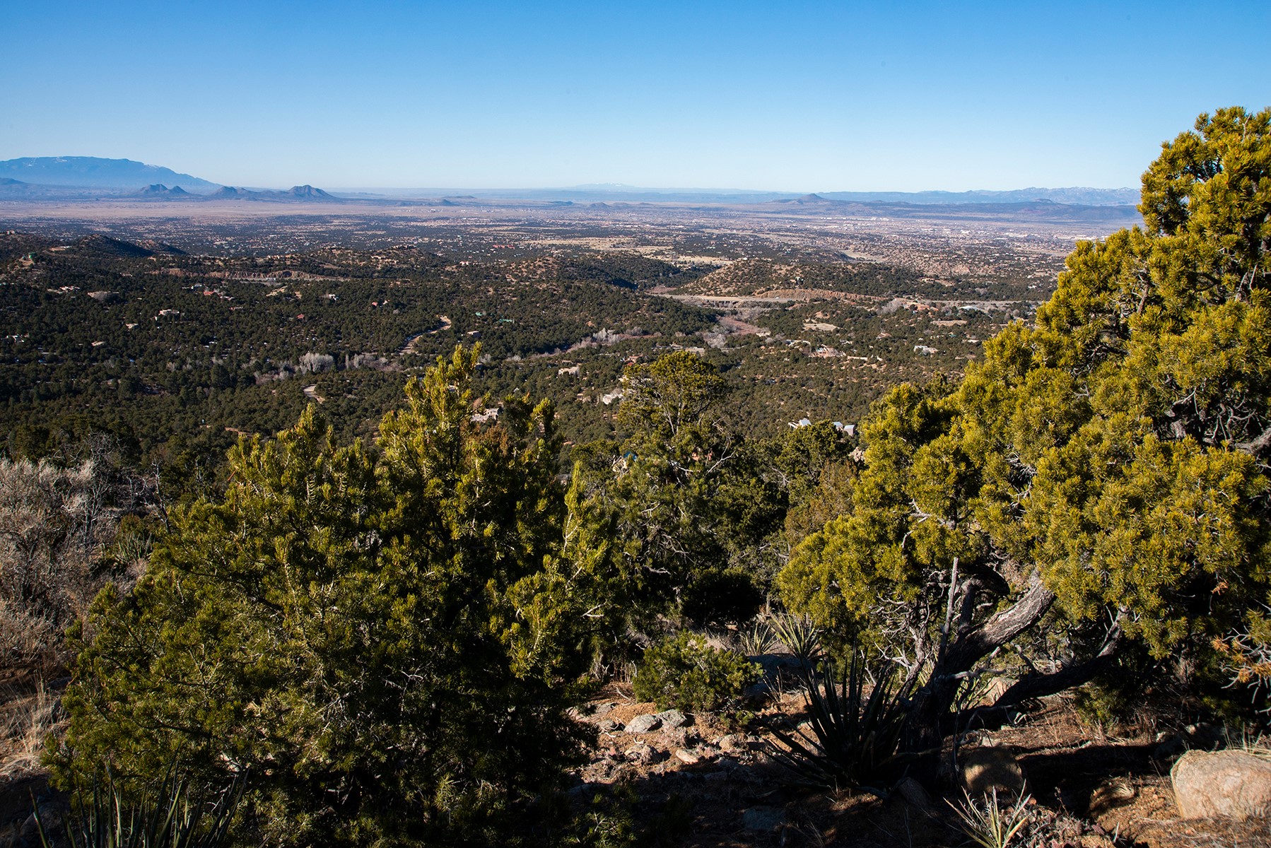 109 Coyote Mountain