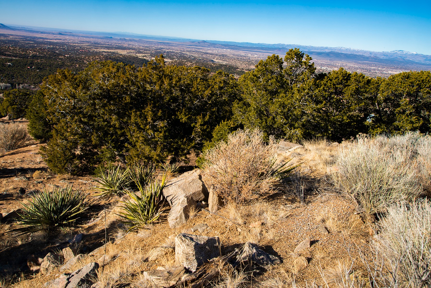 109 Coyote Mountain