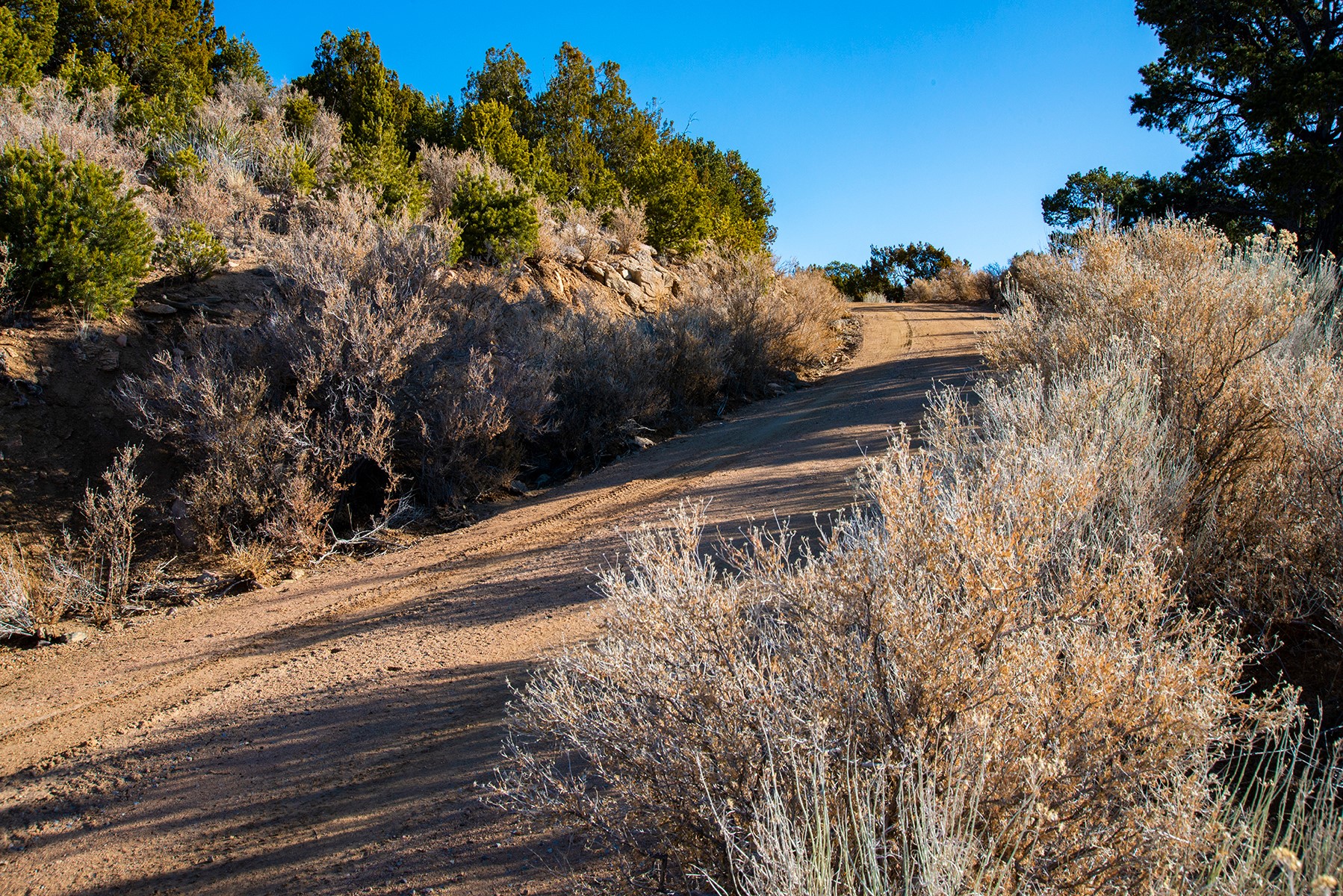 109 Coyote Mountain