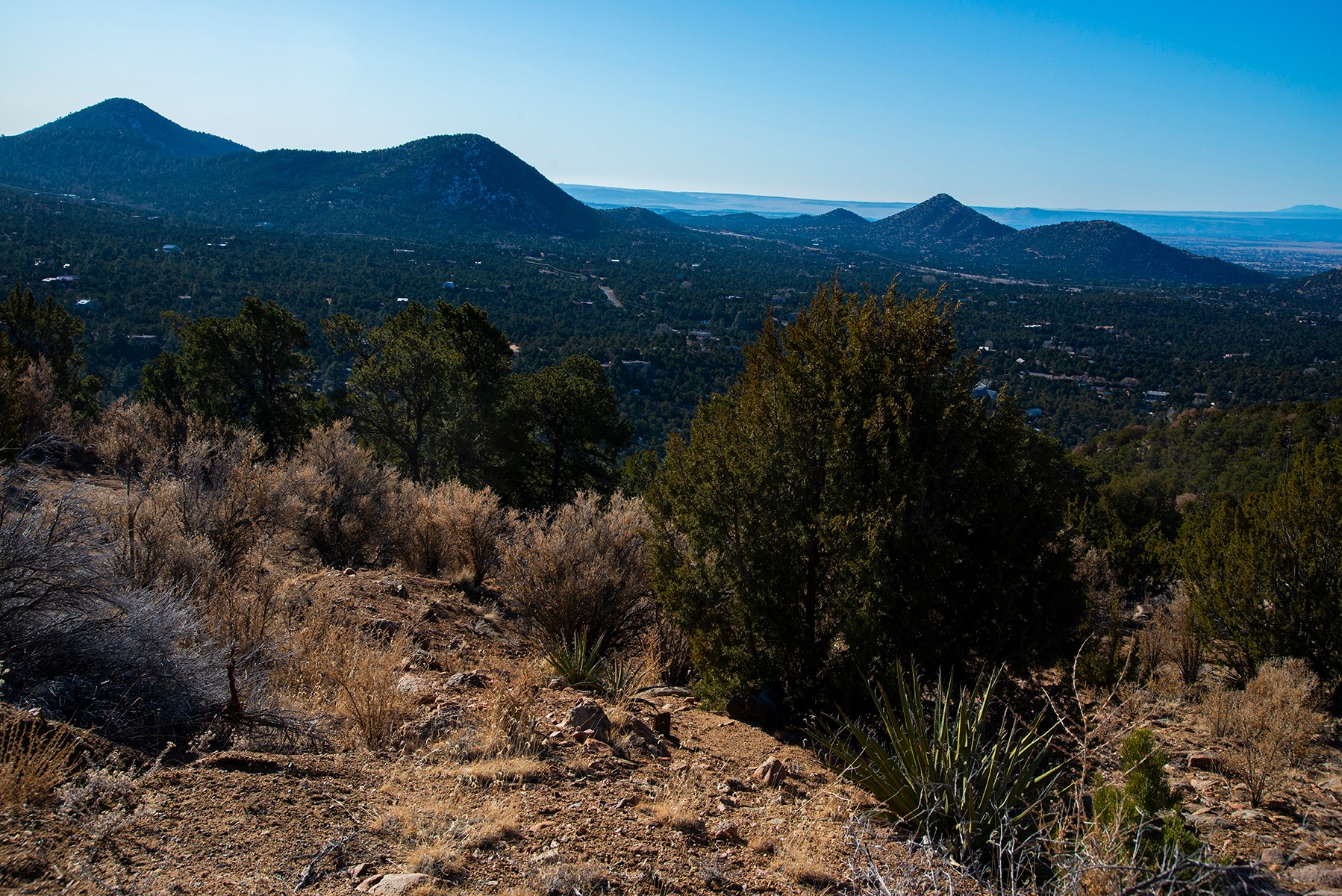109 Coyote Mountain