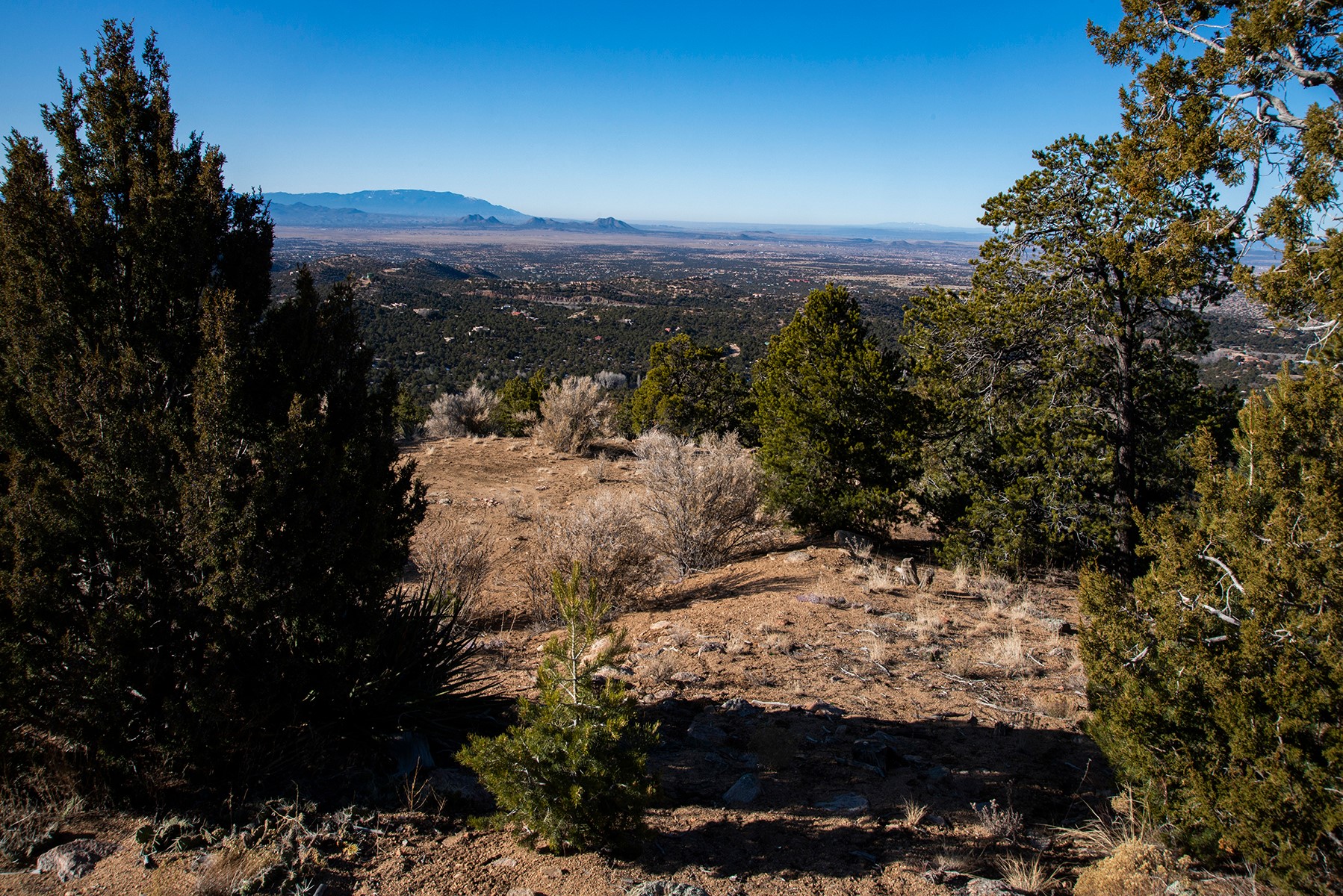 109 Coyote Mountain