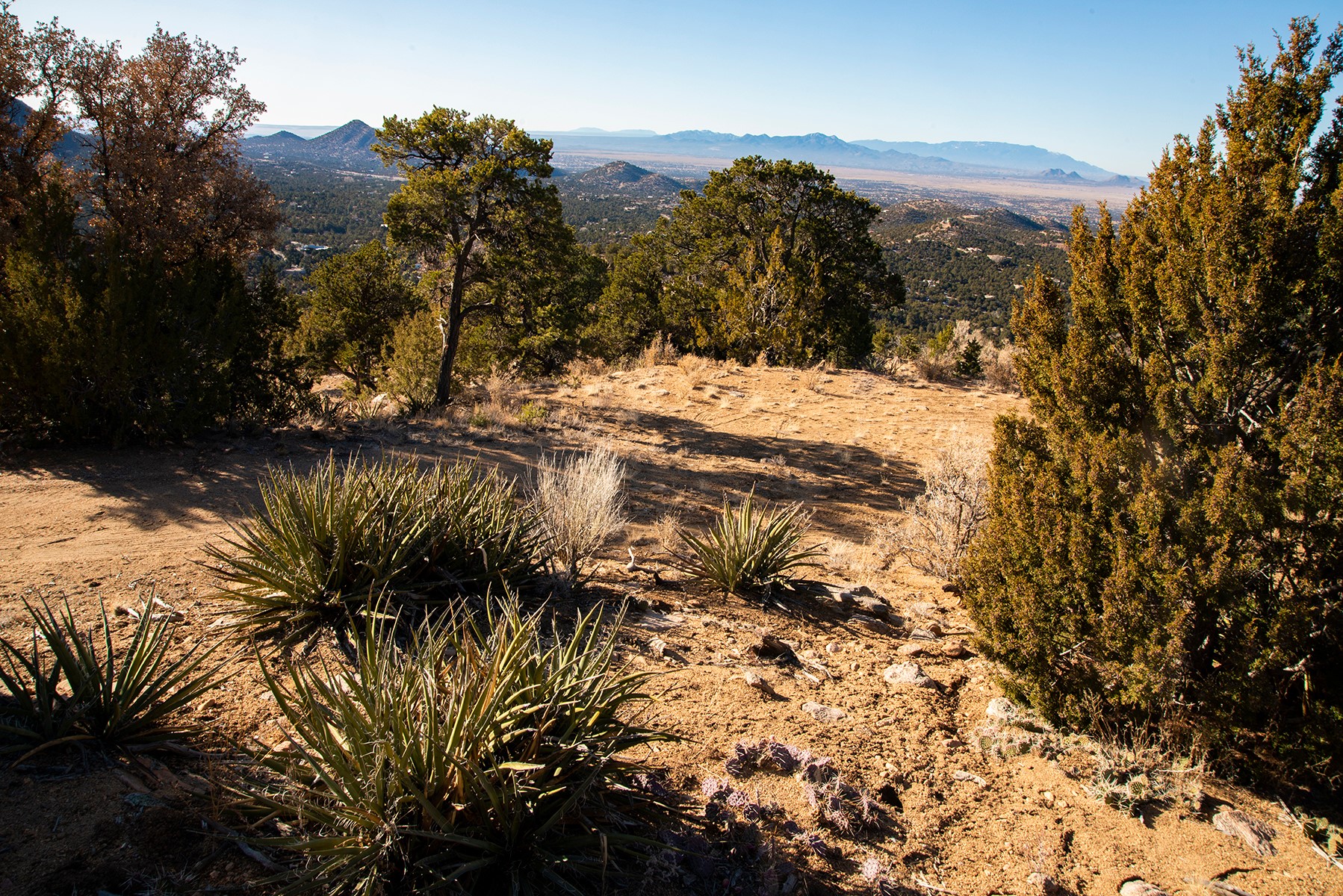 109 Coyote Mountain