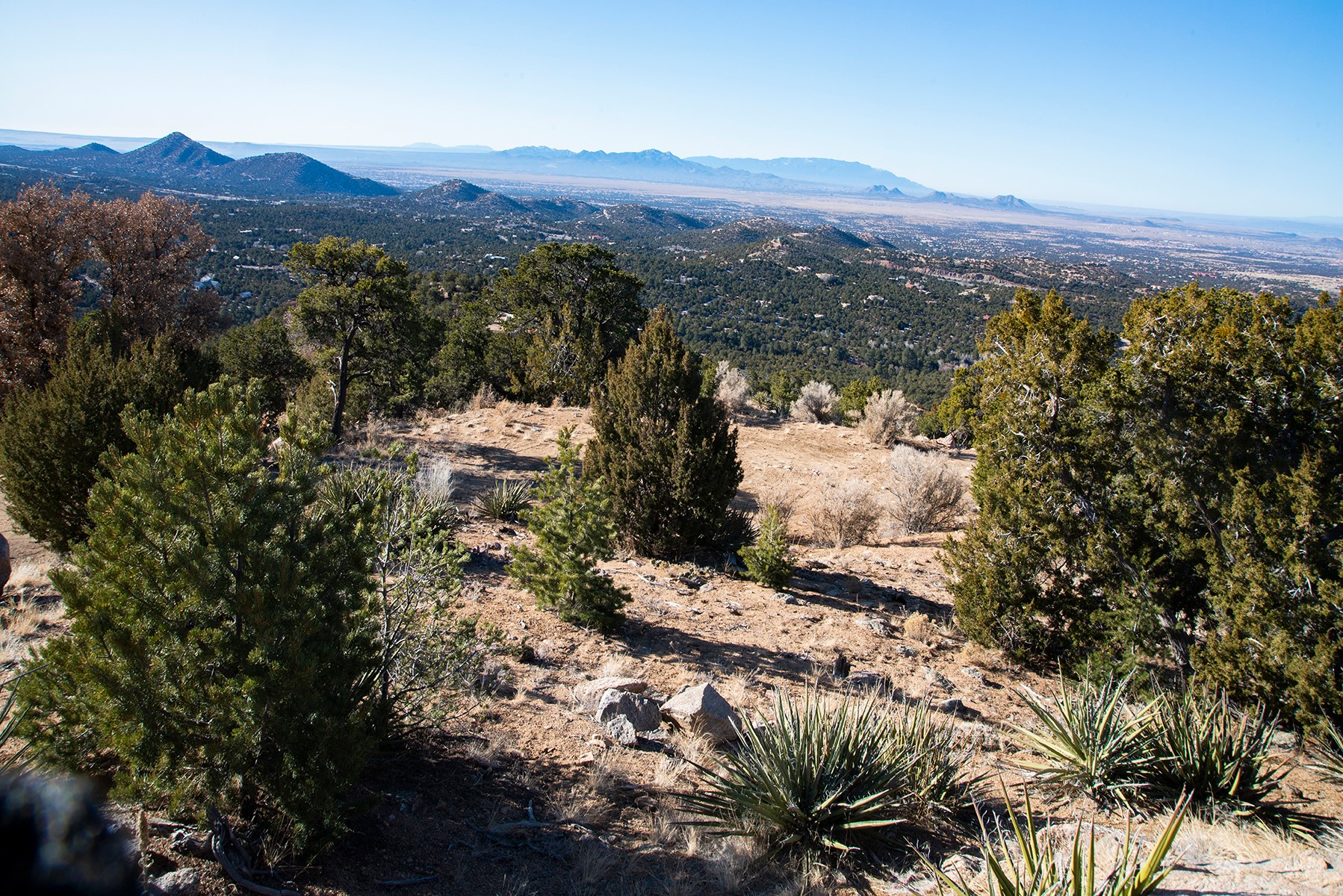 109 Coyote Mountain