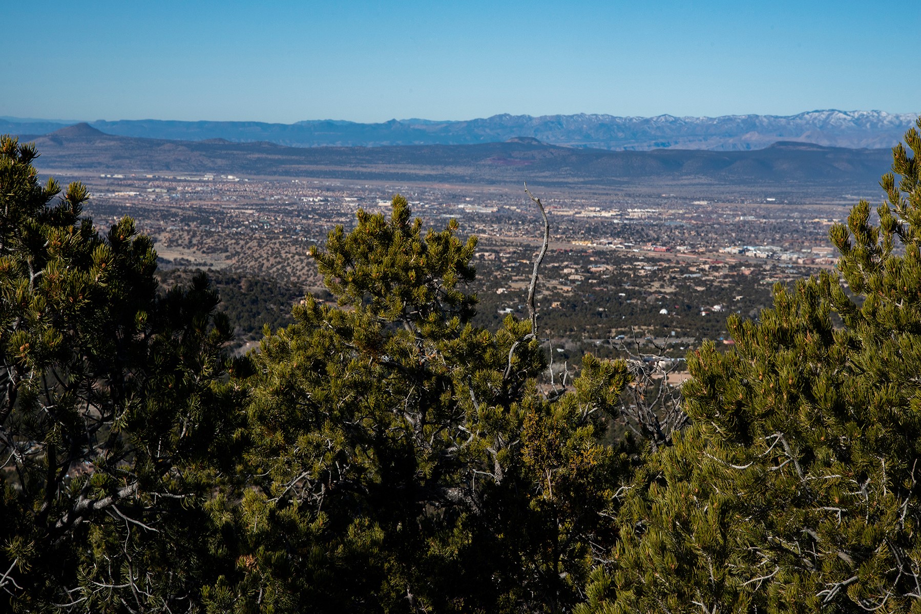 109 Coyote Mountain