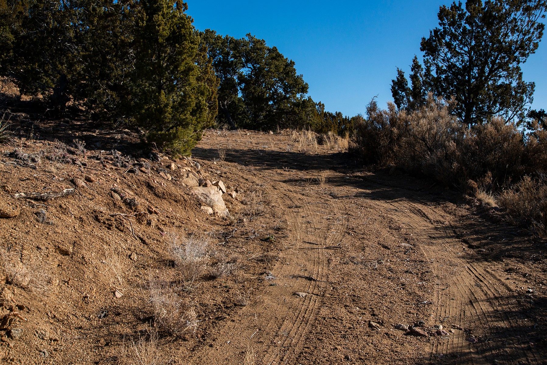 109 Coyote Mountain