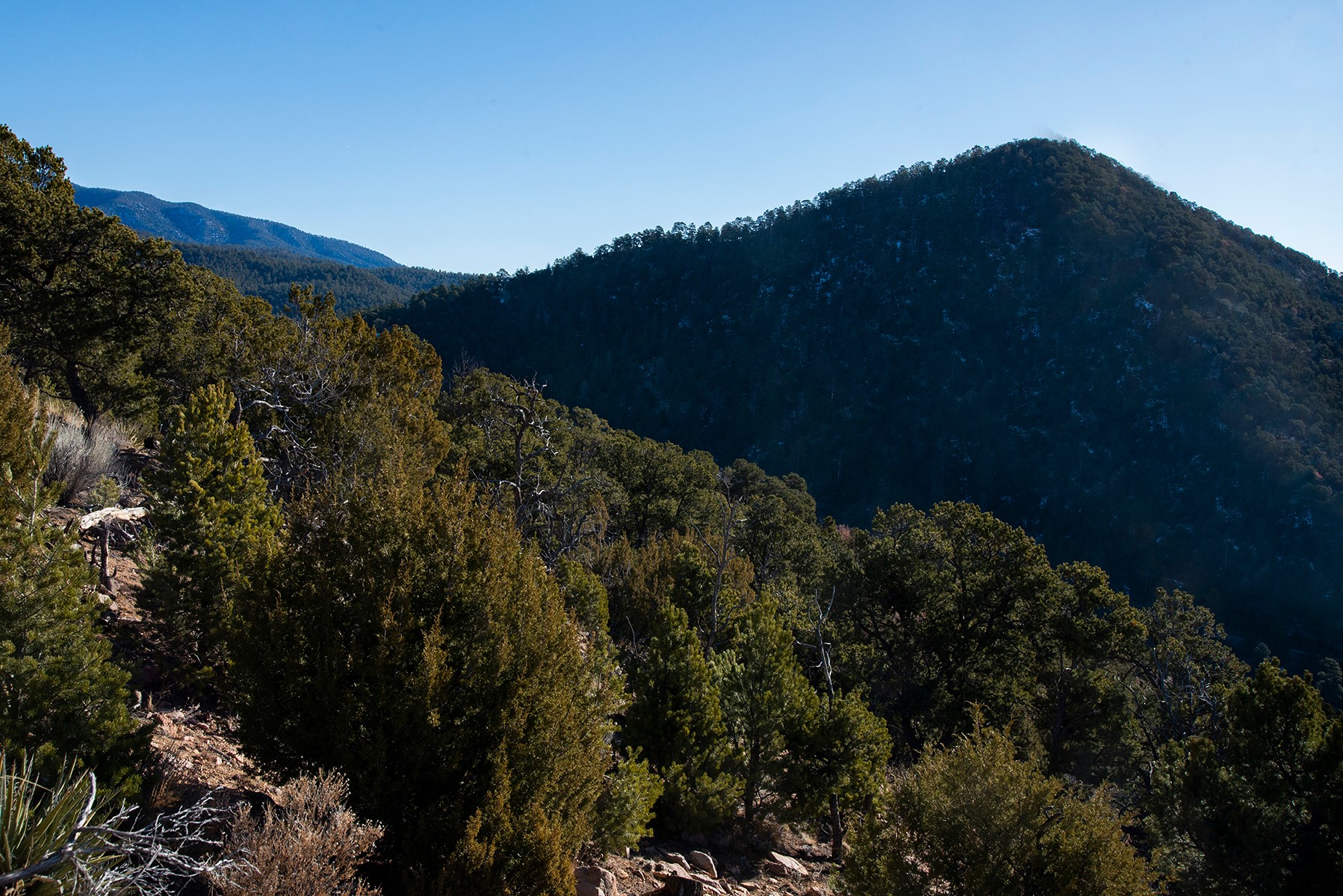 109 Coyote Mountain