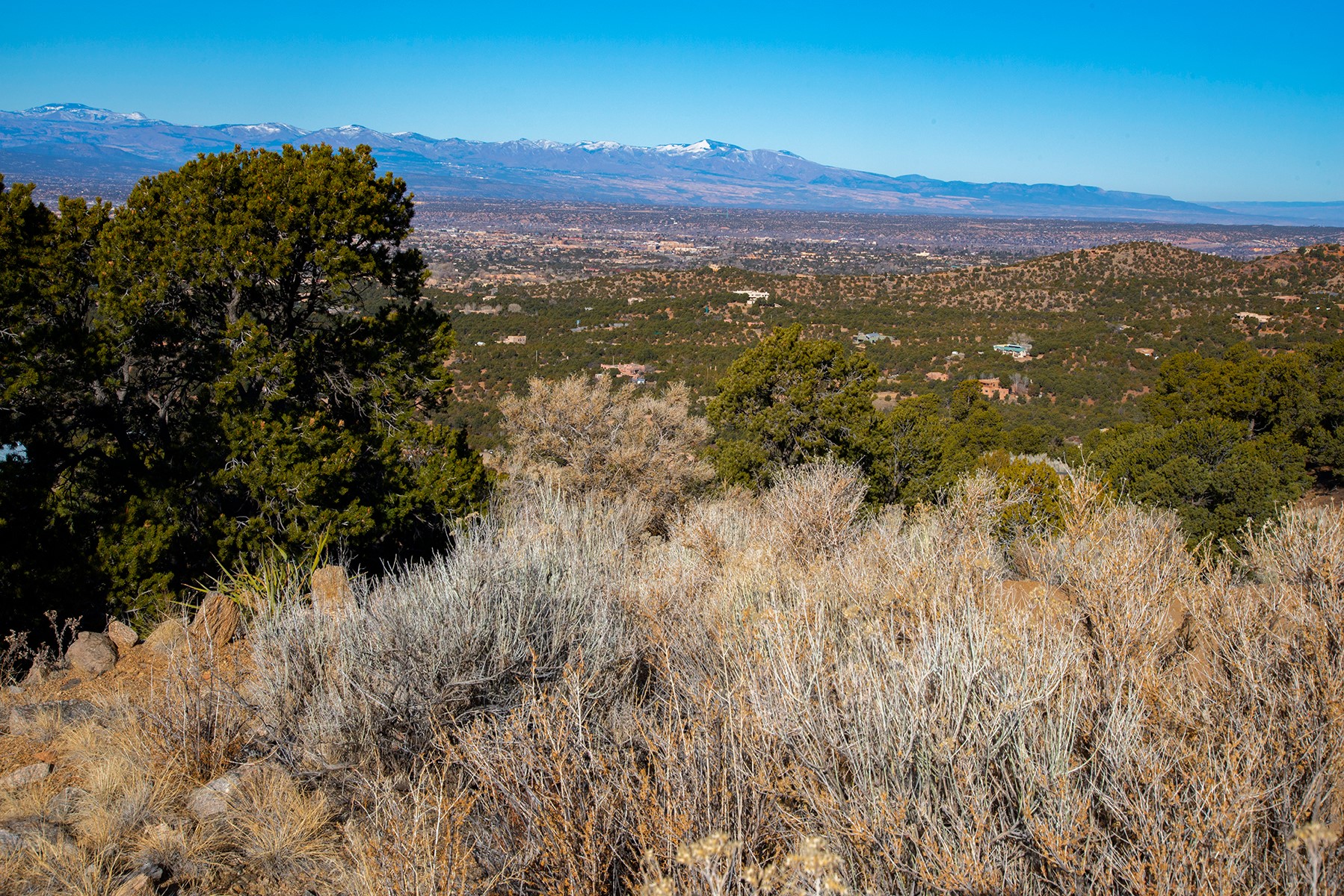 109 Coyote Mountain