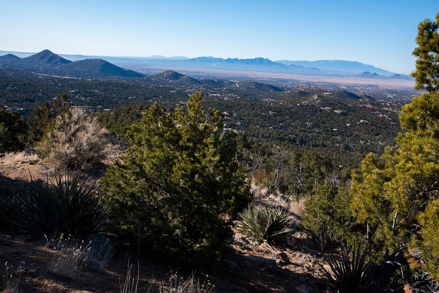 109 Coyote Mountain