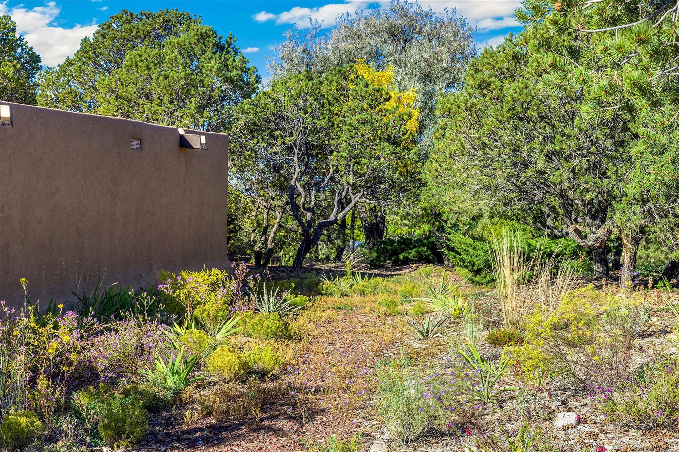 301 Calle Loma Norte