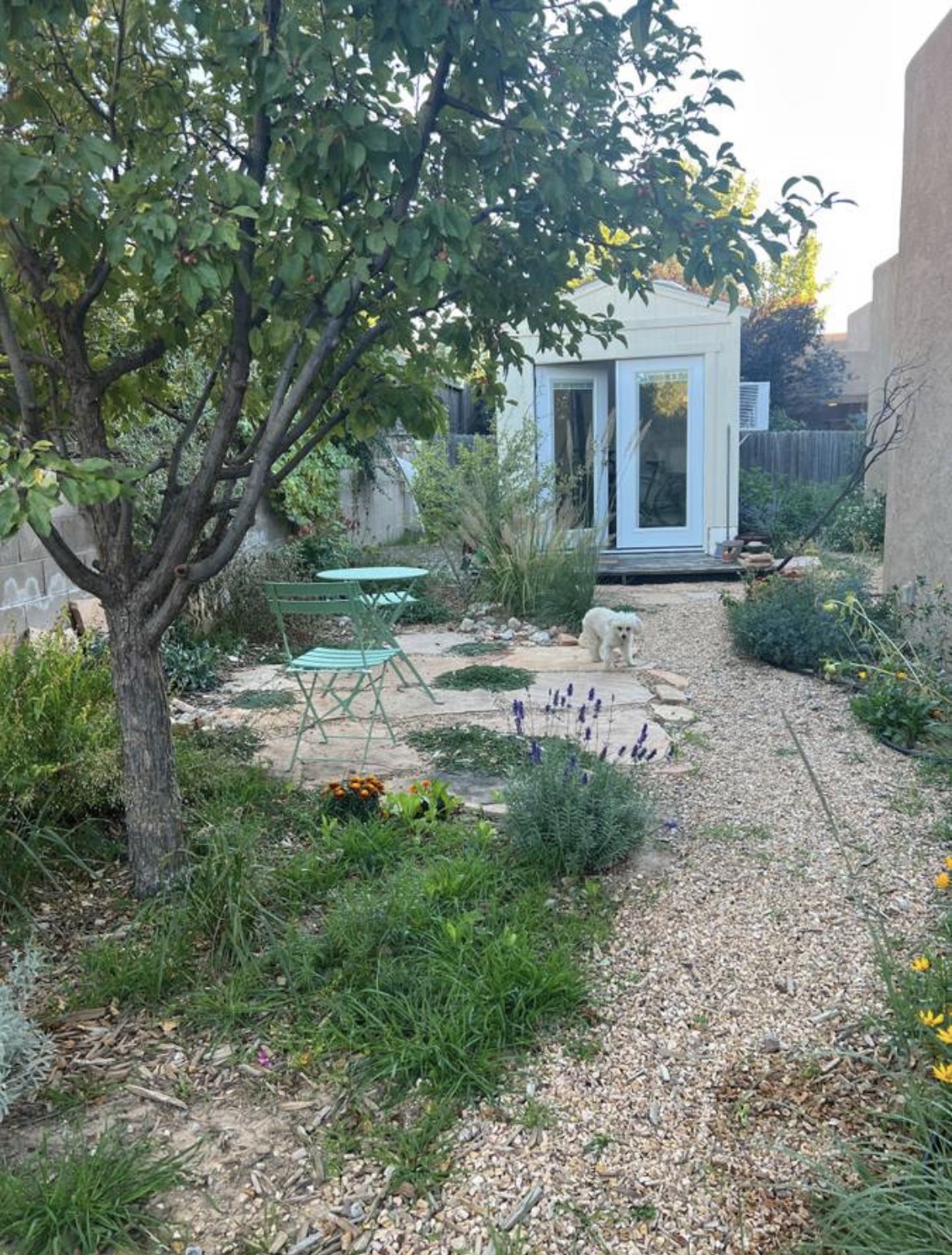 6927 Golden Mesa