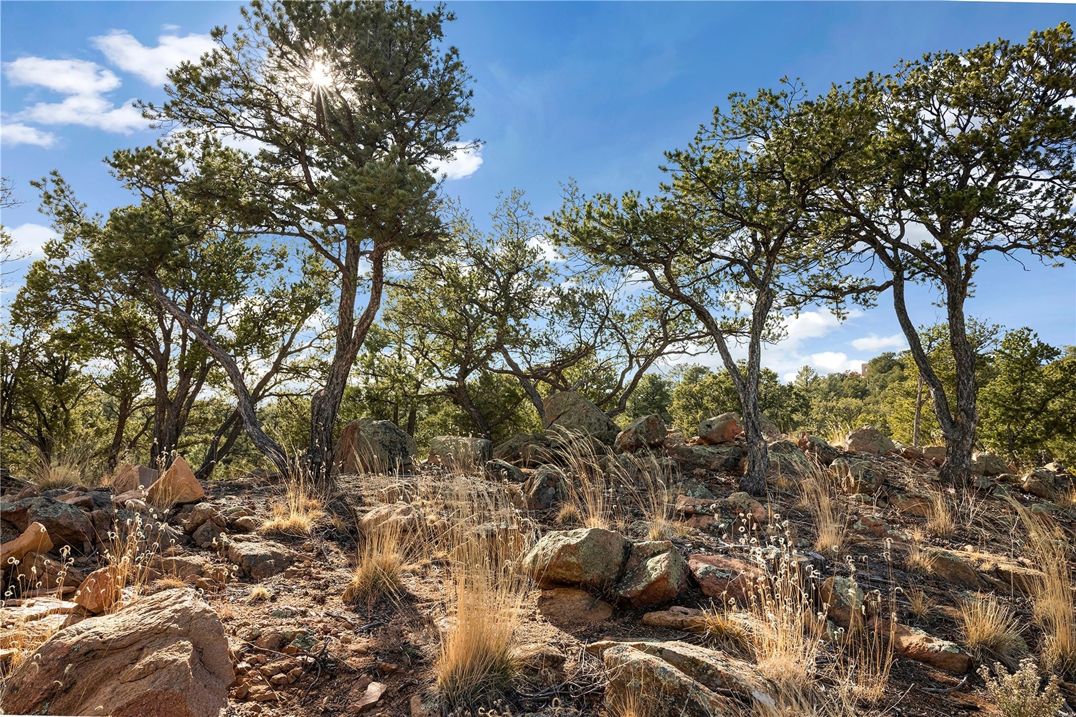 4A Ponderosa Ridge Road