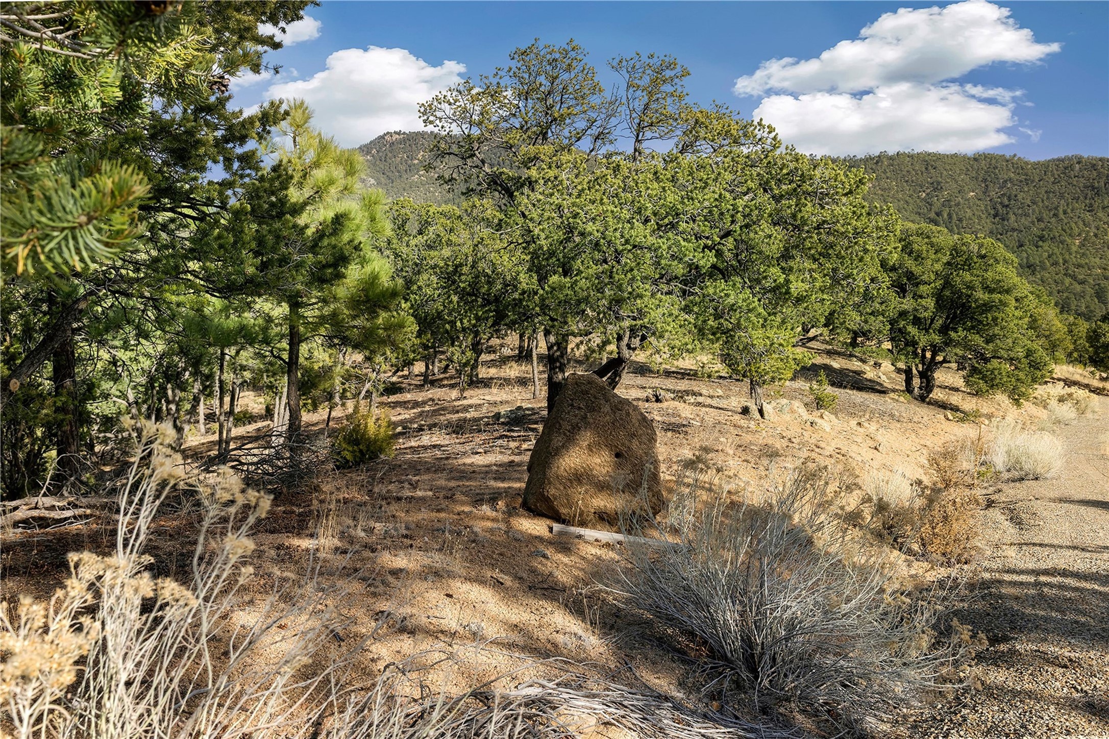 4A Ponderosa Ridge Road