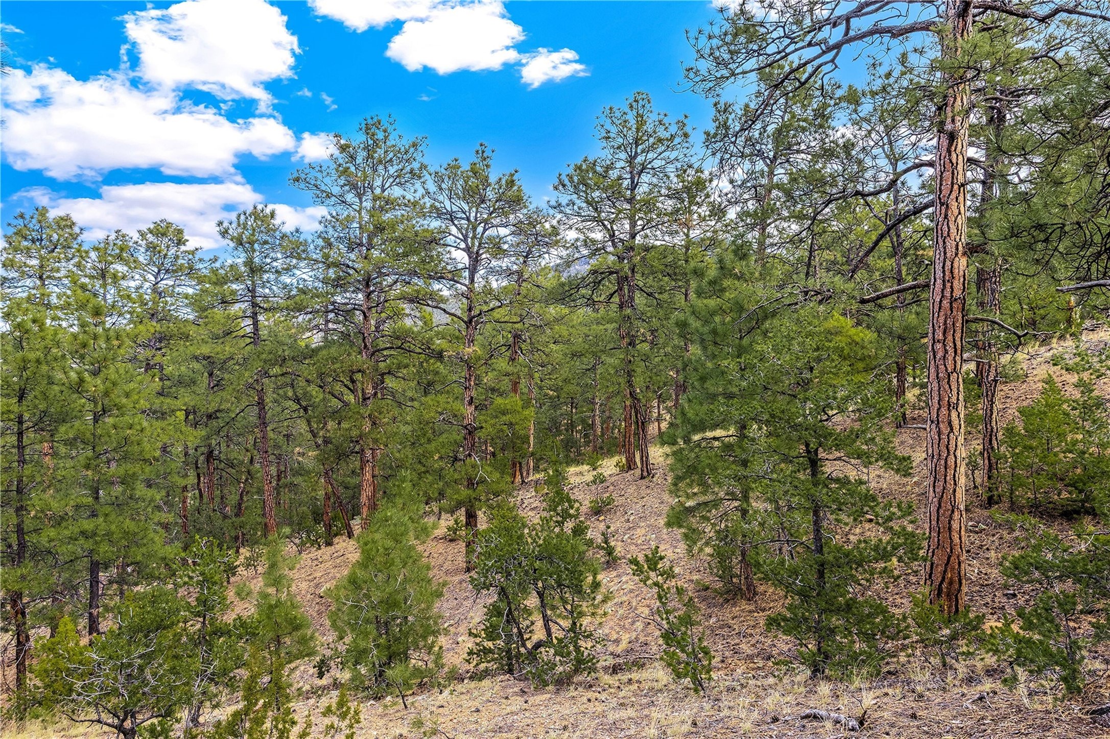 4A Ponderosa Ridge Road