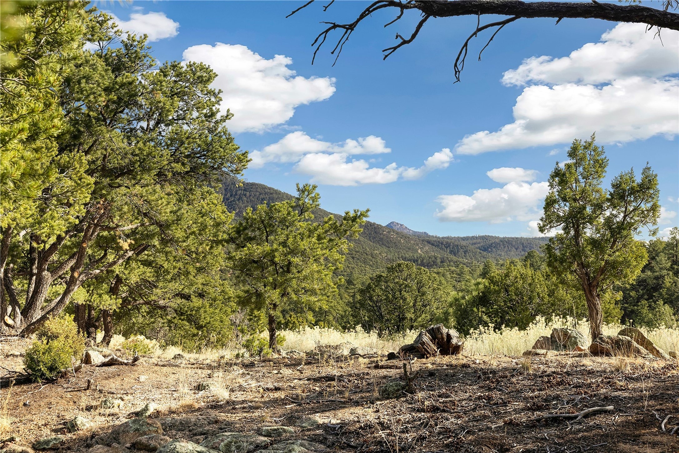 4A Ponderosa Ridge Road