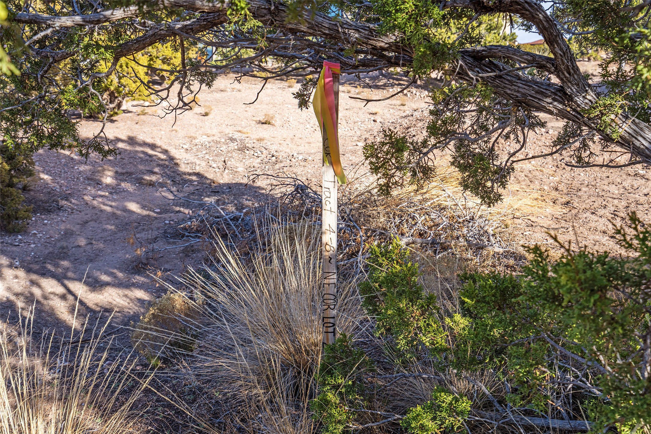 27 Gwendolyn