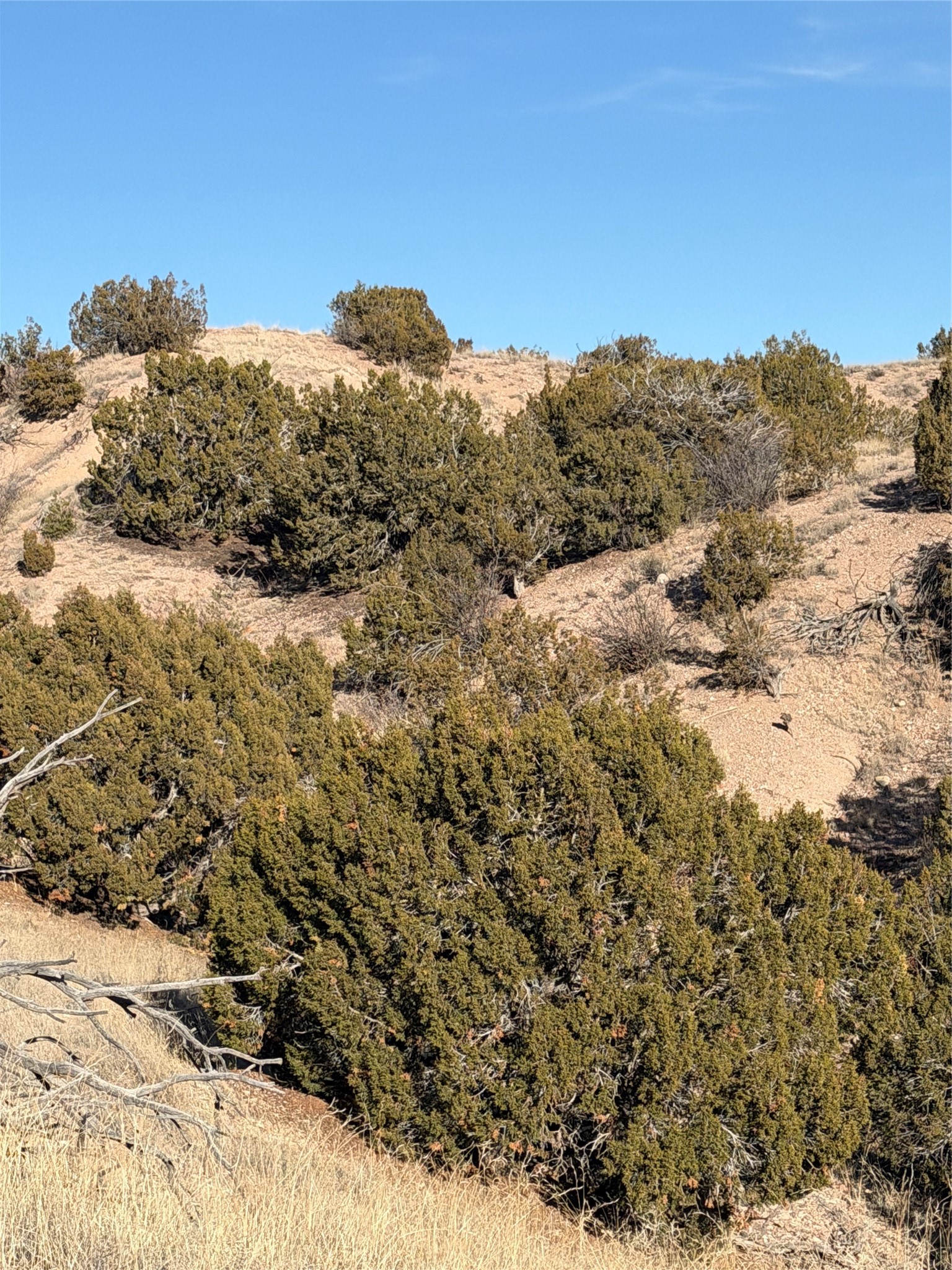 2.5 Acres Kalitaya