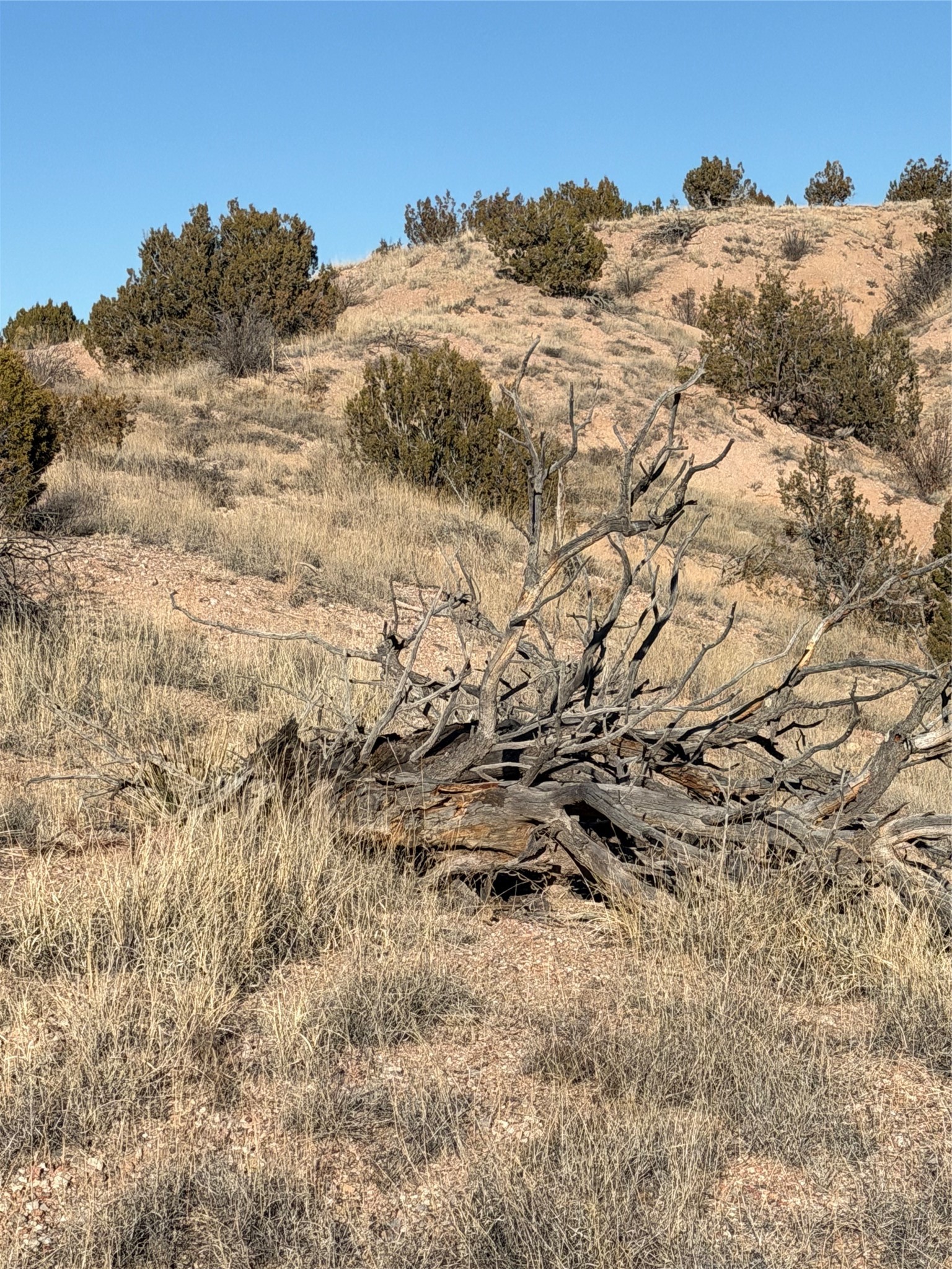 2.5 Acres Kalitaya