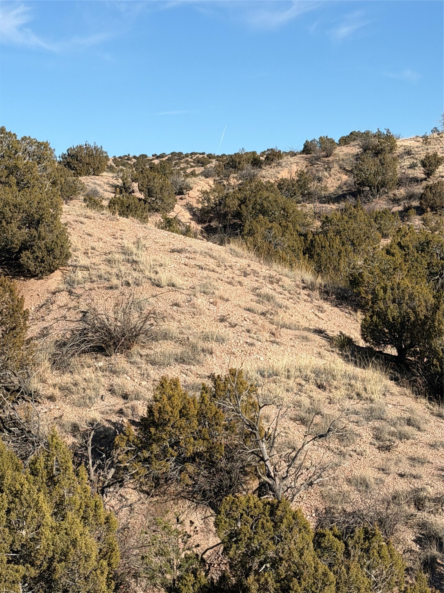2.5 Acres Kalitaya