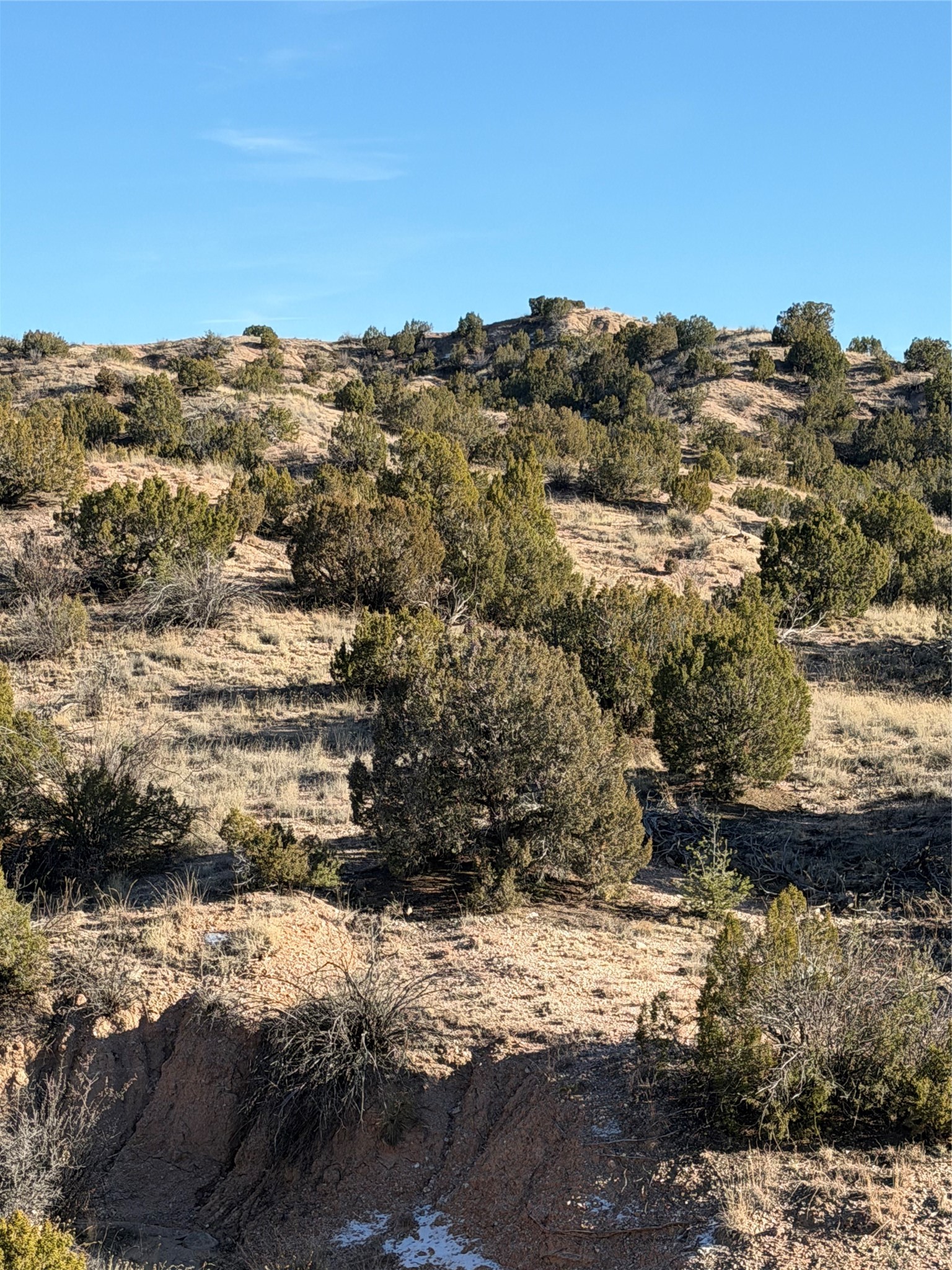 2.5 Acres Kalitaya
