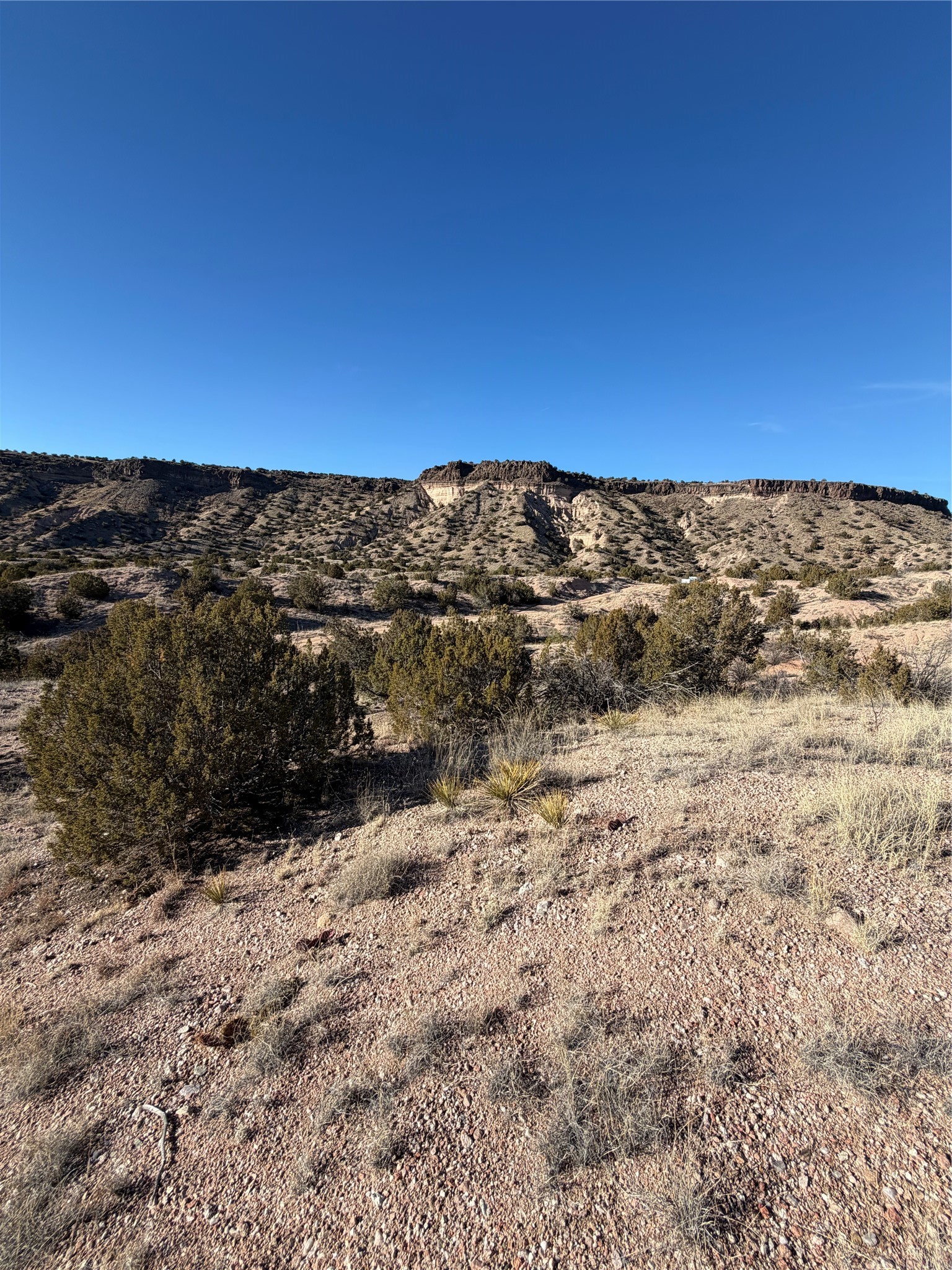 2.5 Acres Kalitaya