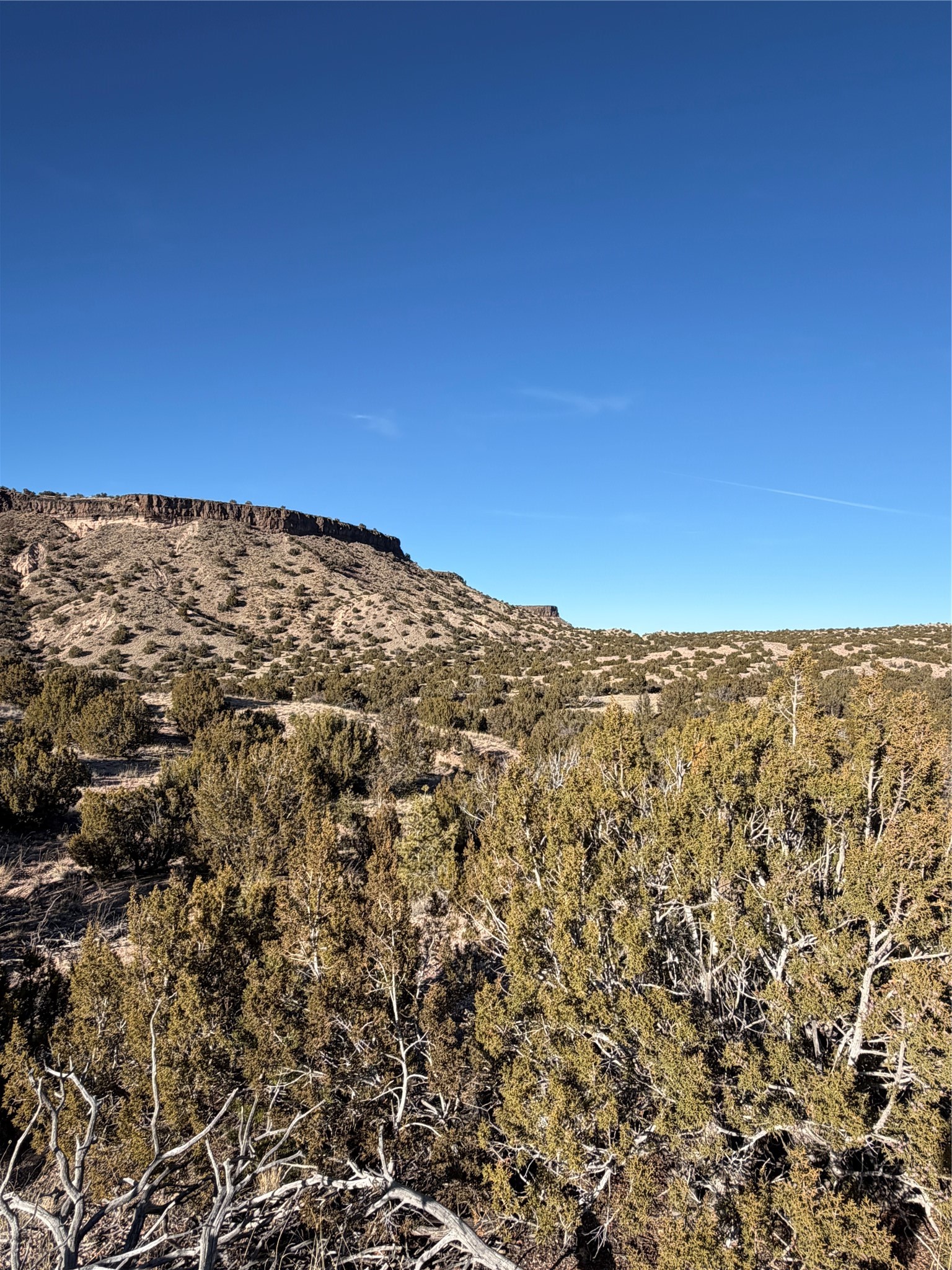 2.5 Acres Kalitaya