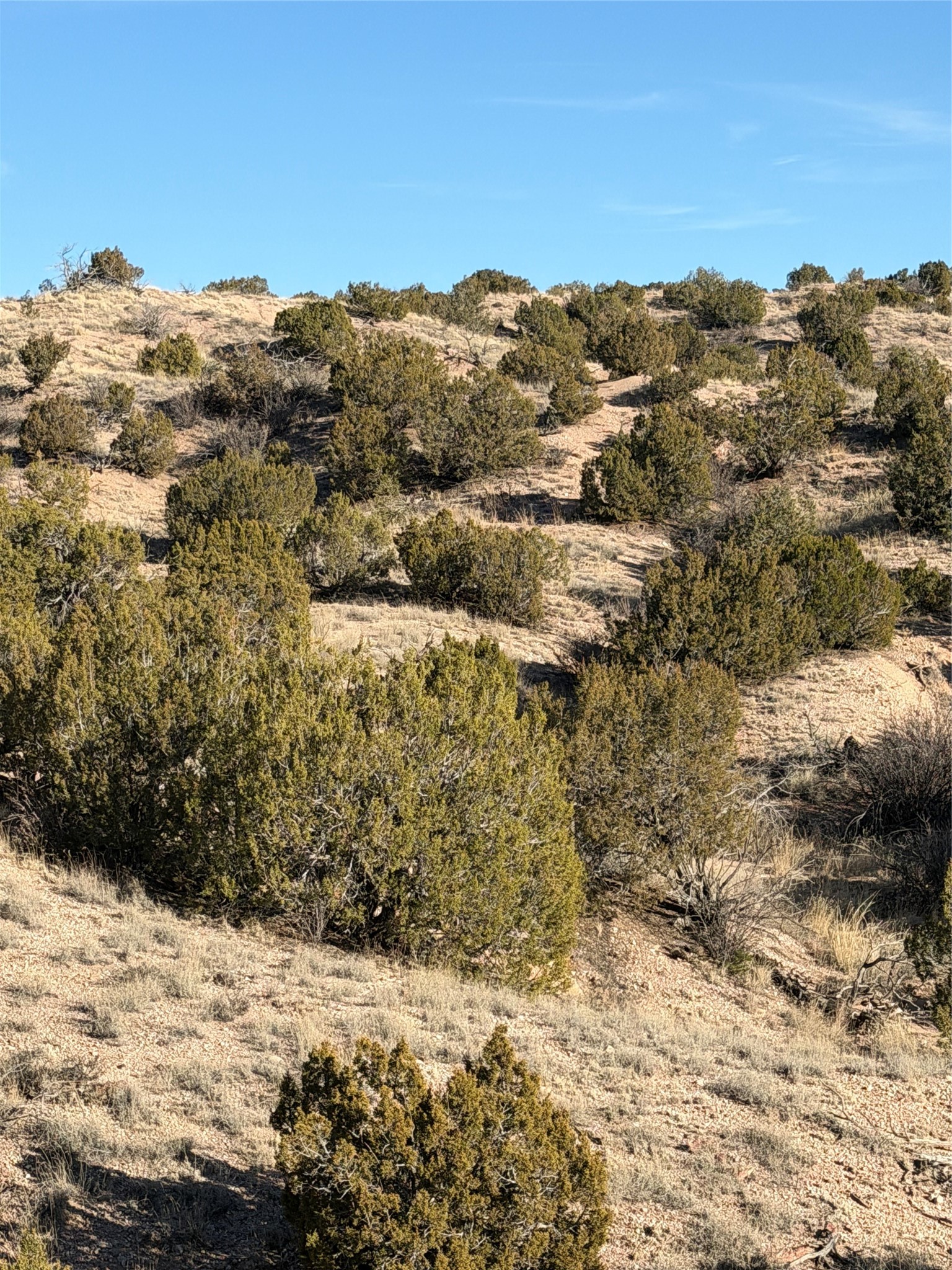 2.5 Acres Kalitaya