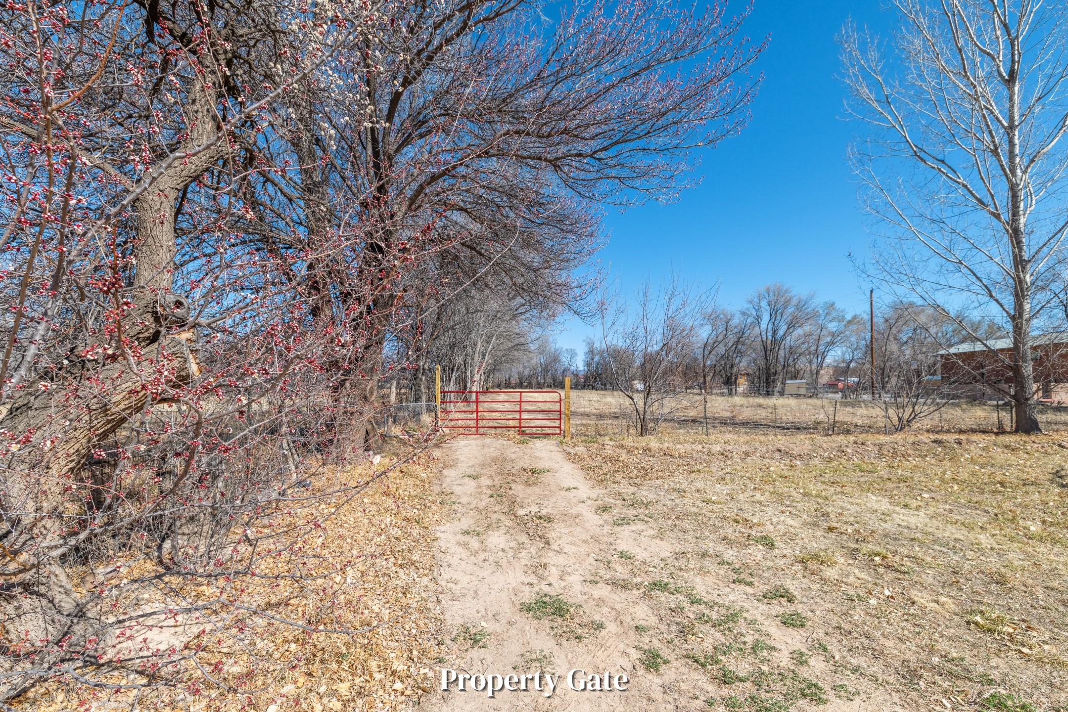 0 TBD Simmons Lane